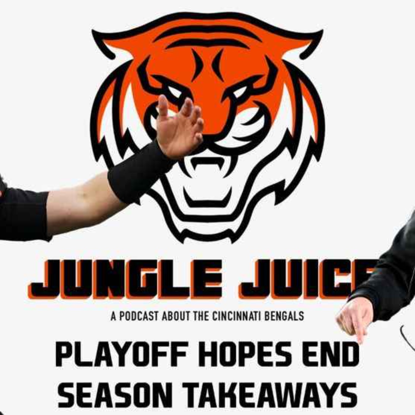 Bengals Playoff Hopes End and Season Takeaways episode artwork