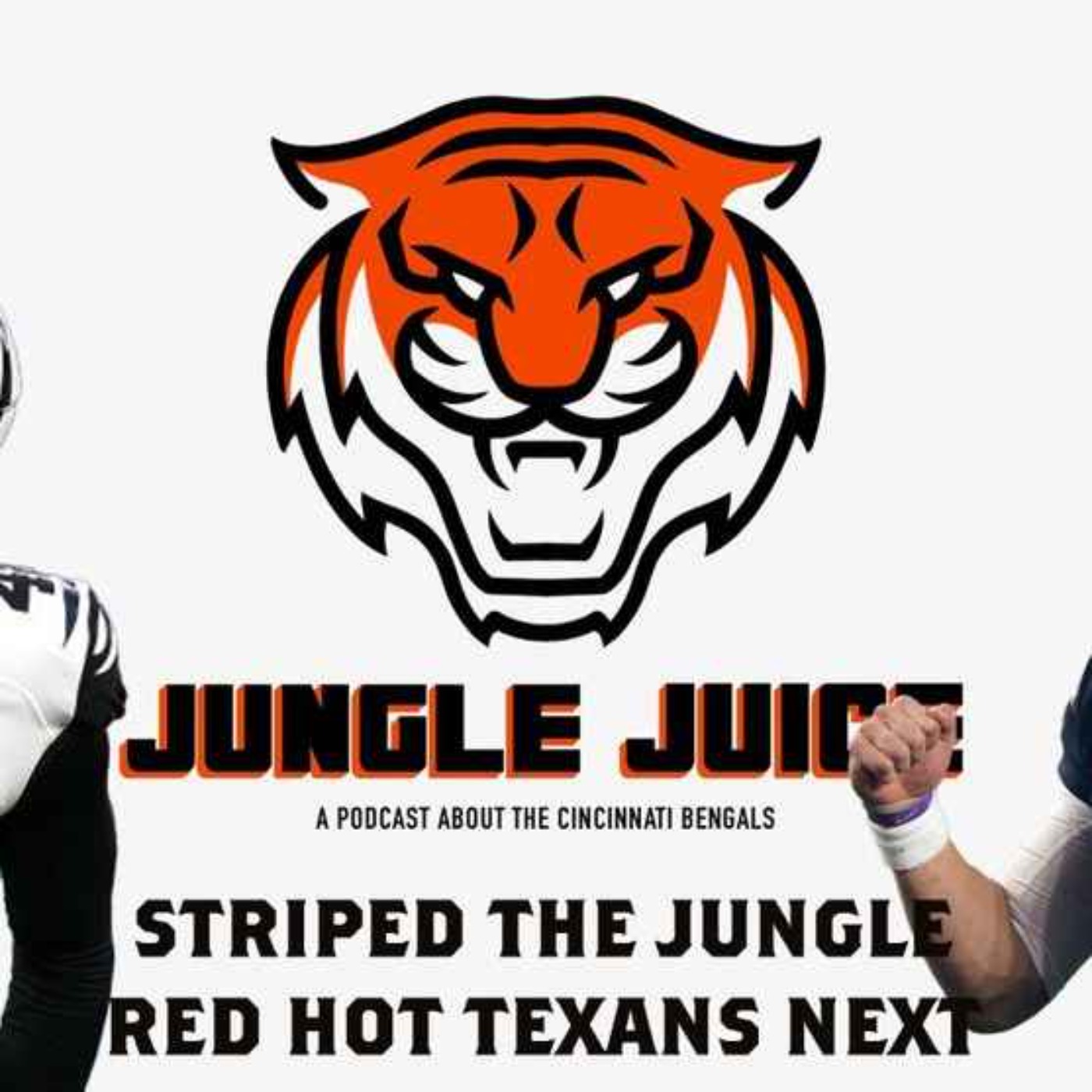 Striped Jungle Success and the Red-Hot Texans episode artwork