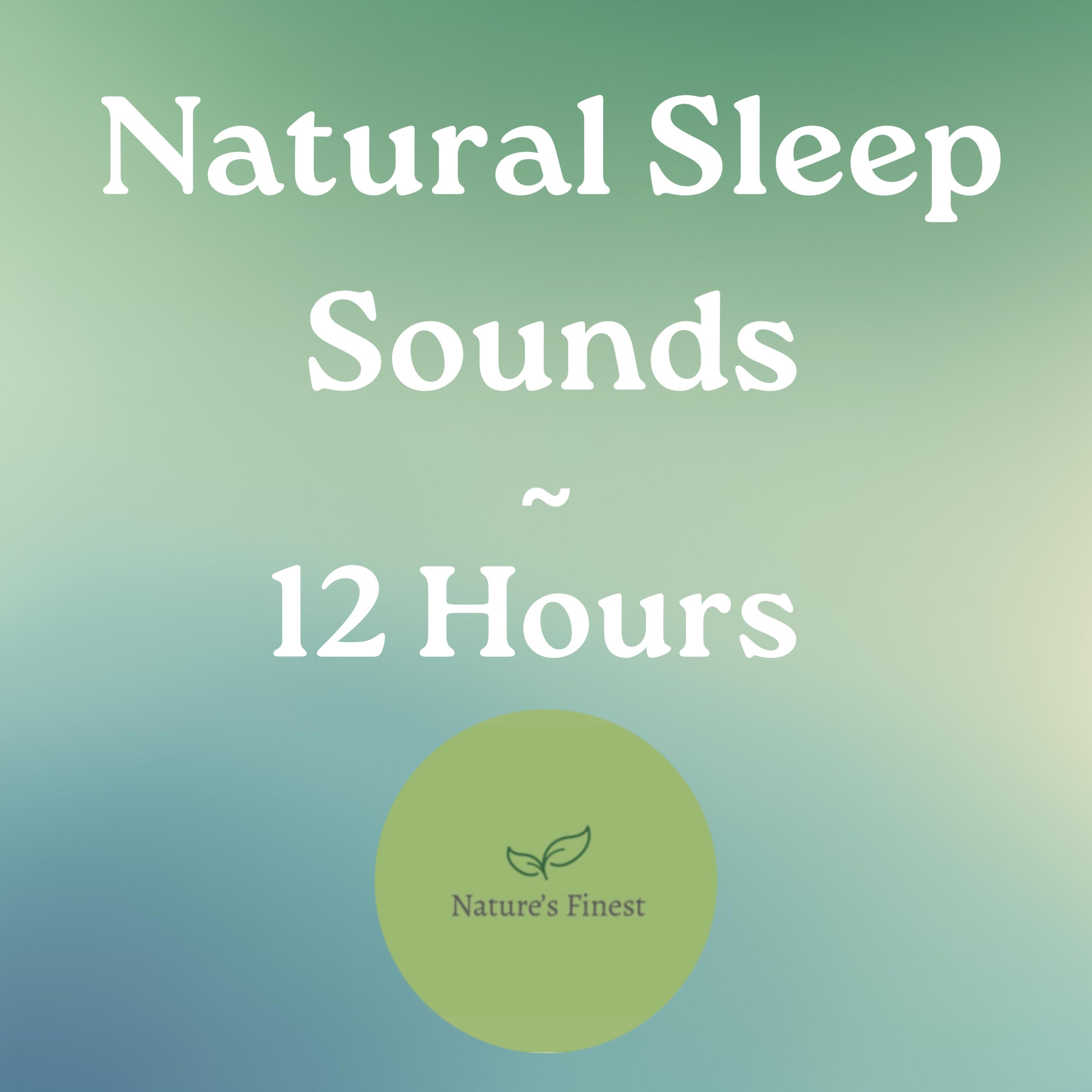 Nature‘s Finest Podcast: White Noise & Sleep Sounds for 12 Hours Baby & Adult Sleep artwork