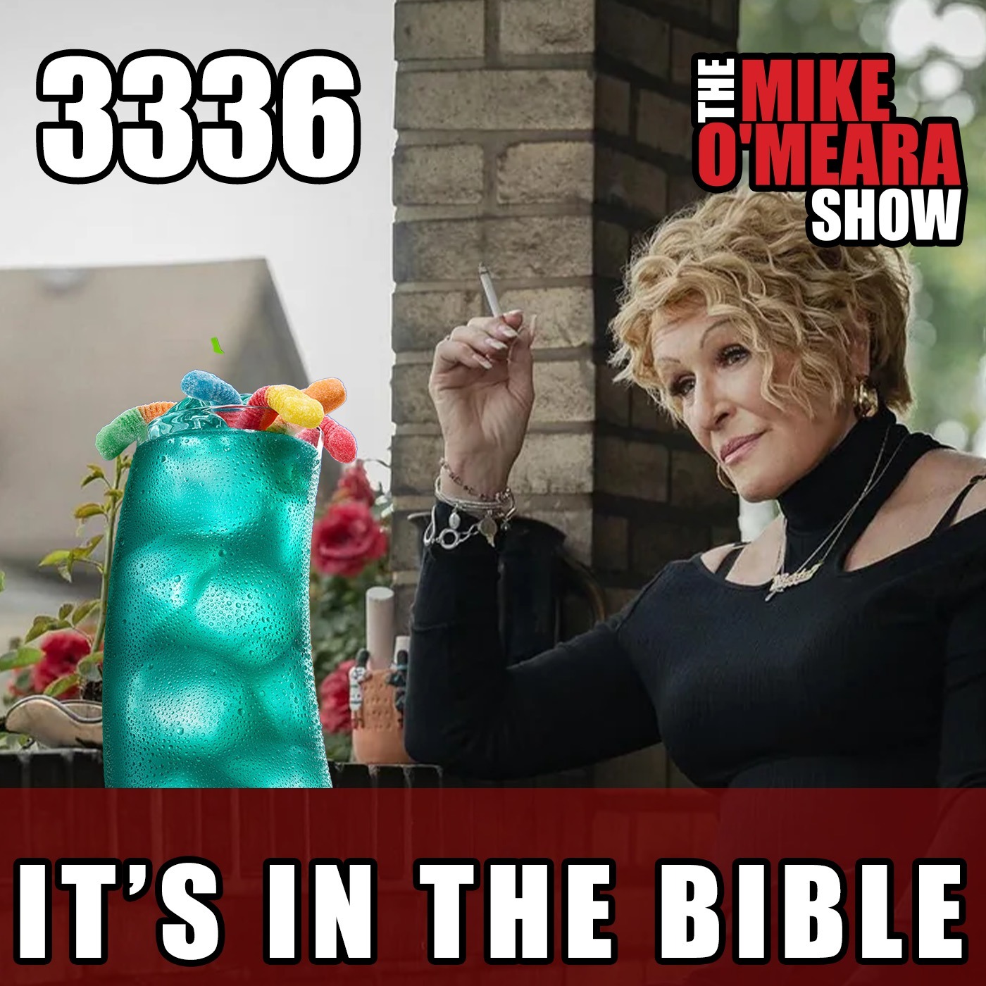 3336: It's In The Bible