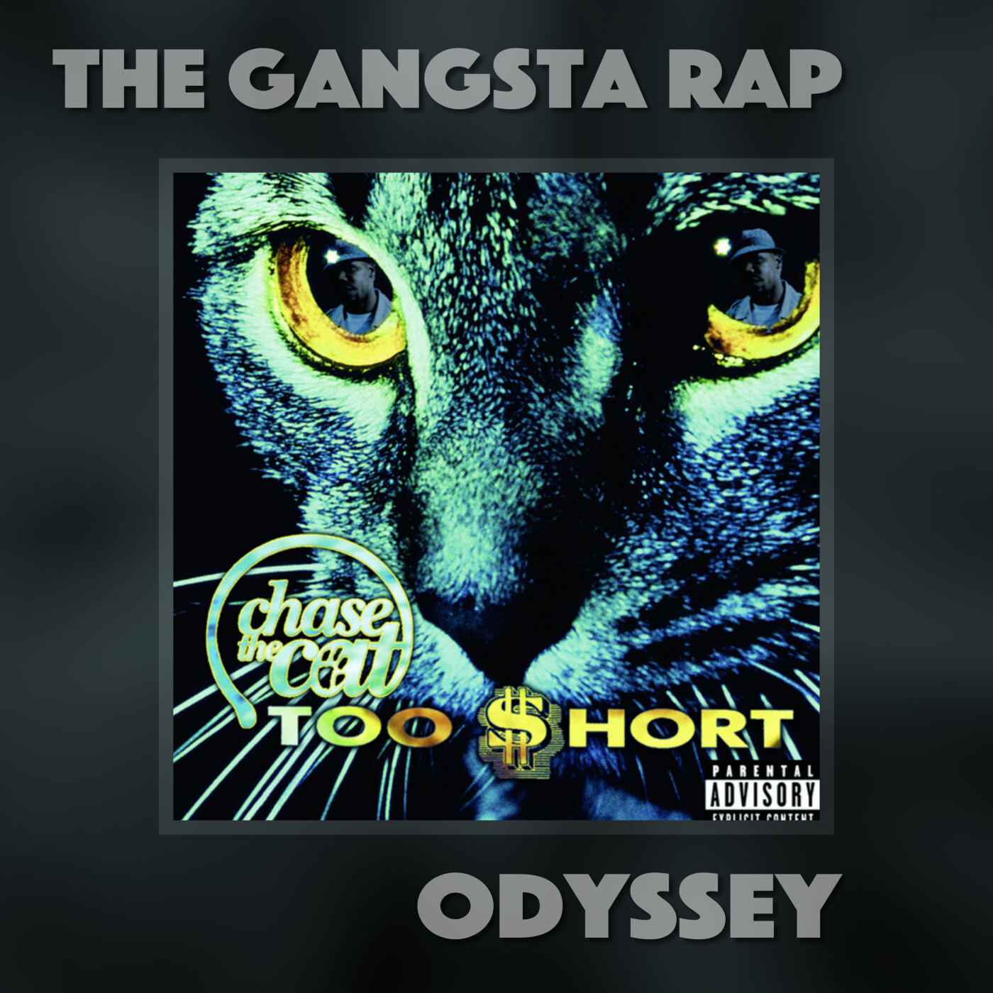Too $hort (Chase the Cat) - A Revisit & Review episode artwork