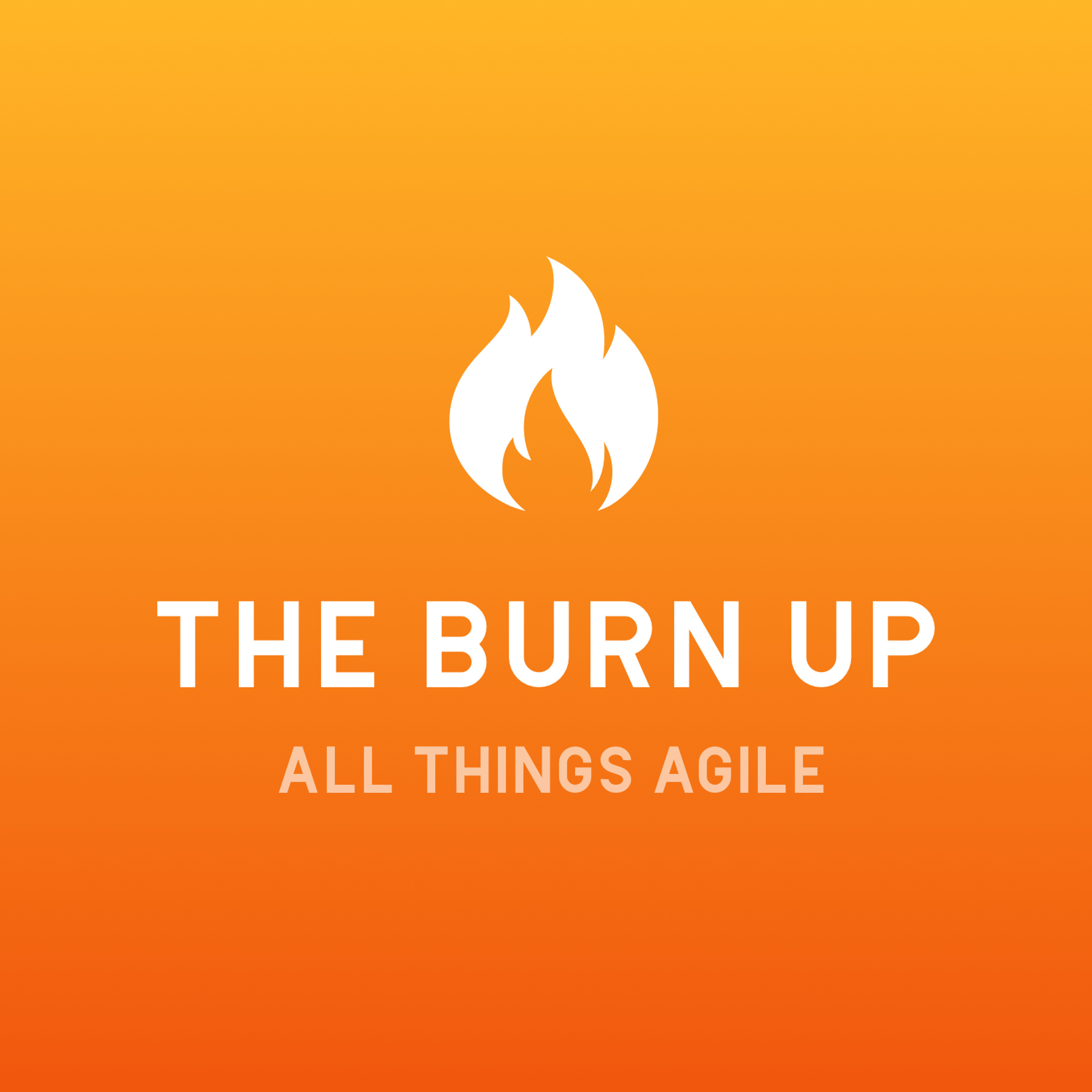 The Burn Up - Agile Software Delivery