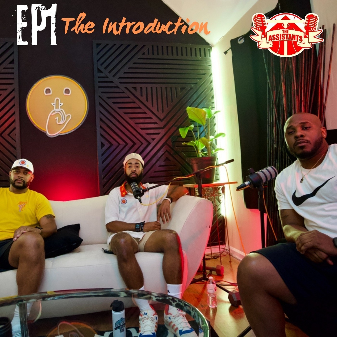 The Introduction