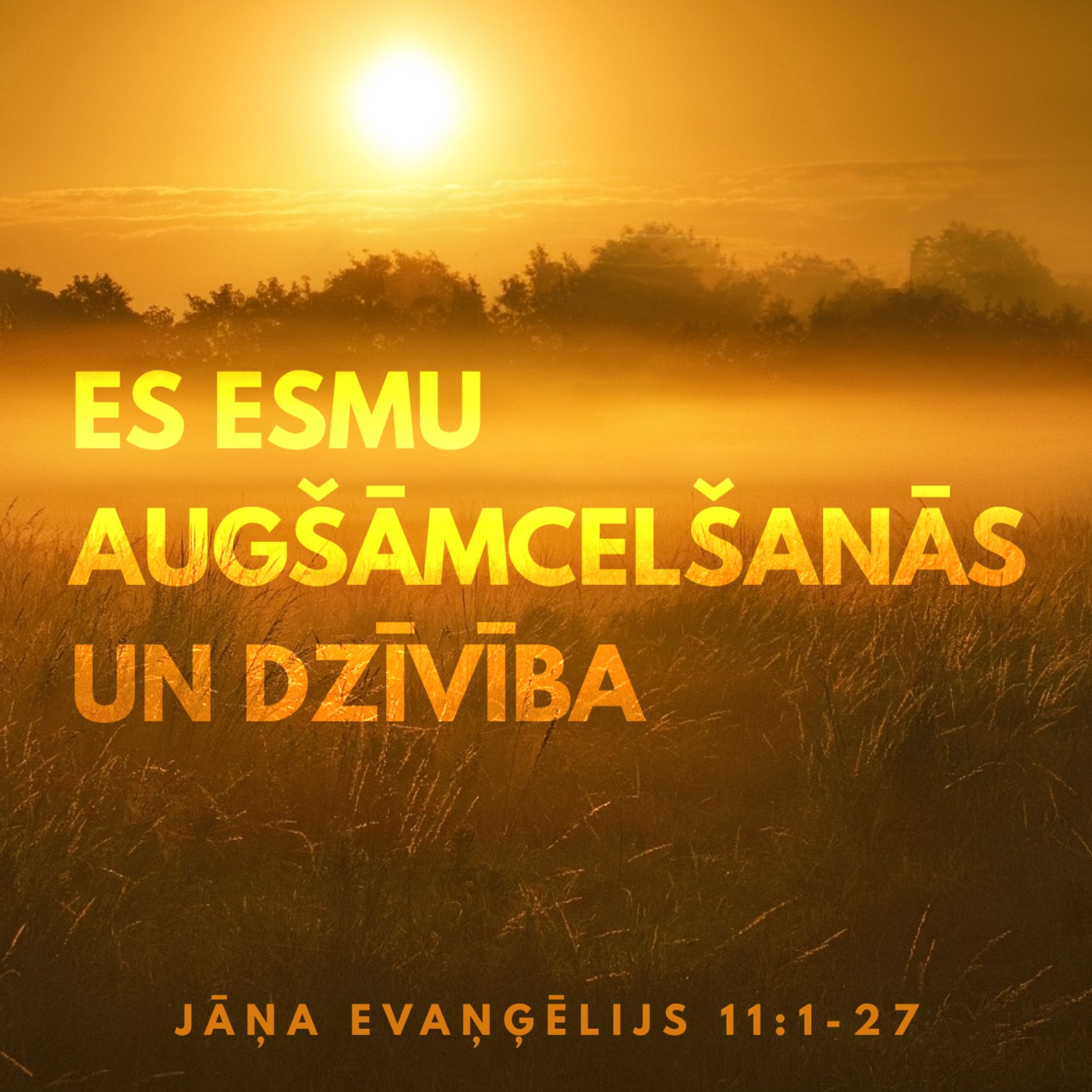 "ES ESMU augšāmcelšanās un dzīvība" - Jāņa 11:1-27 (04.08.2024.) episode artwork