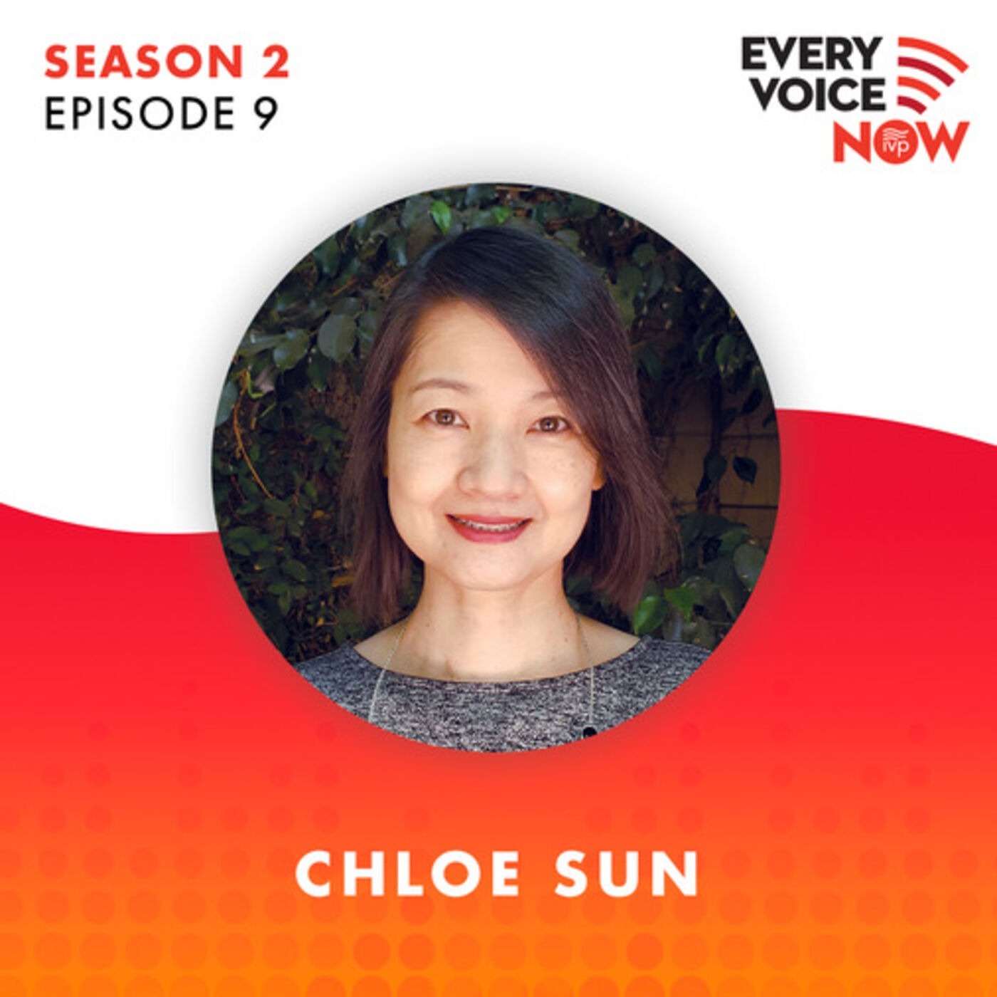 The Every Voice Now Podcast