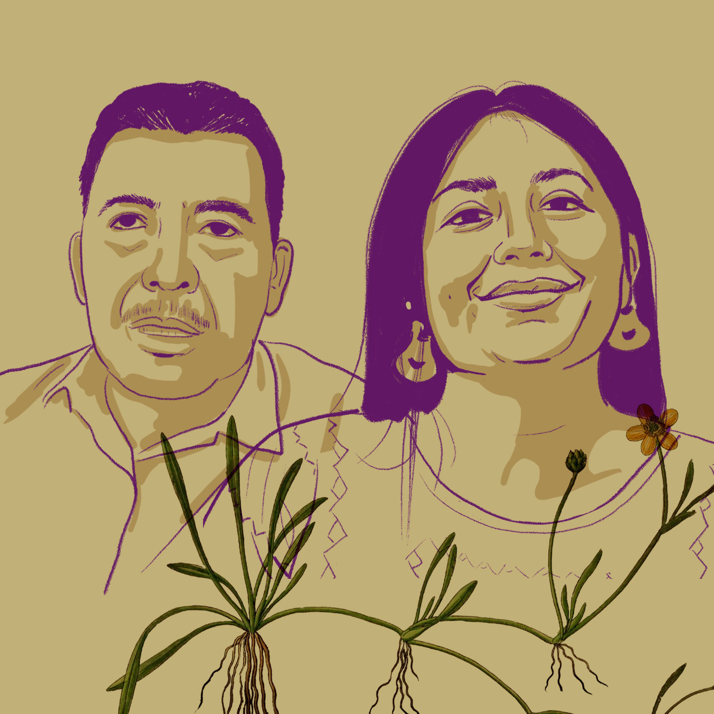 11. Territorios en peligro: megaproyectos eólicos en el Istmo de Tehuantepec