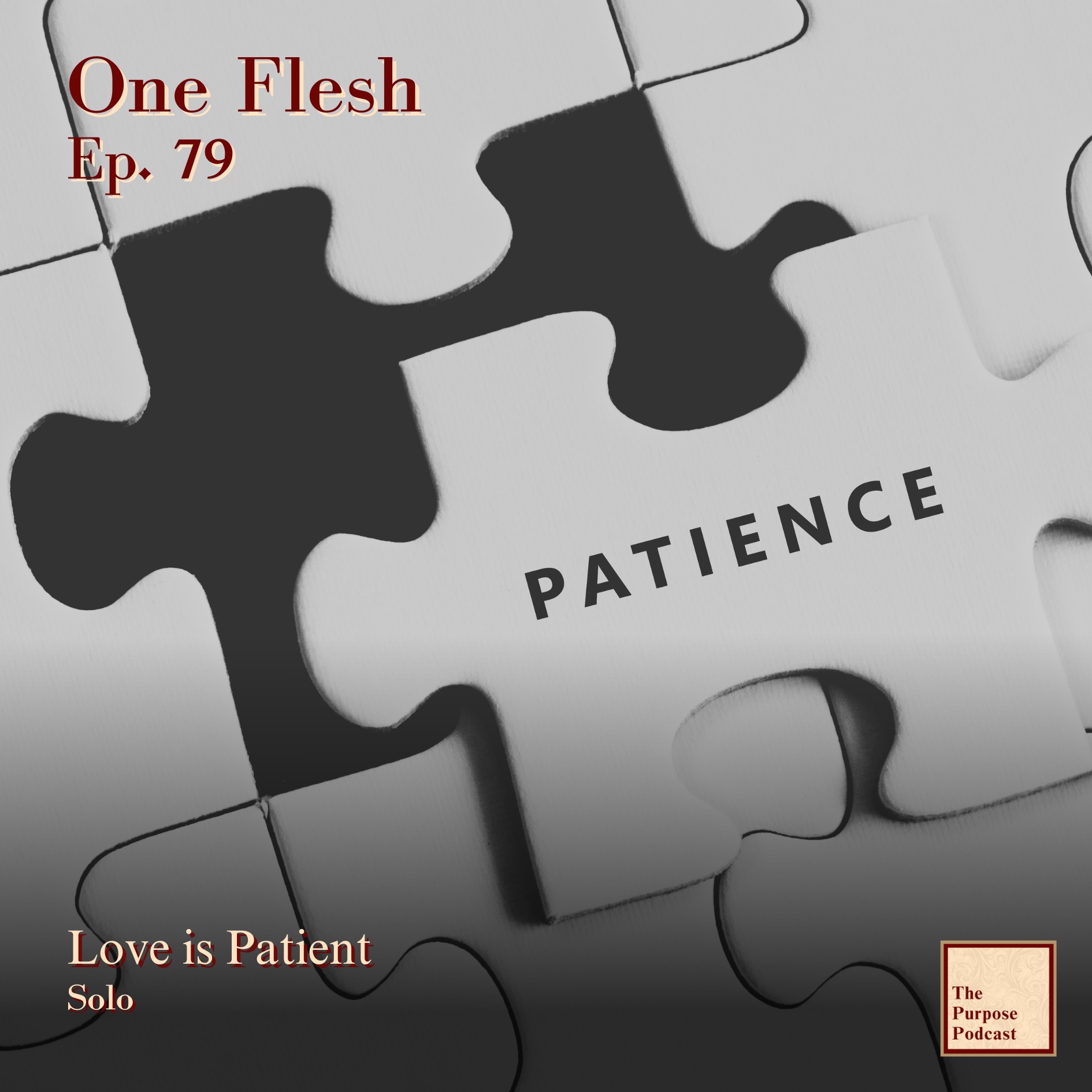 One Flesh Ep. 79 - Love is Patient | Solo episode artwork