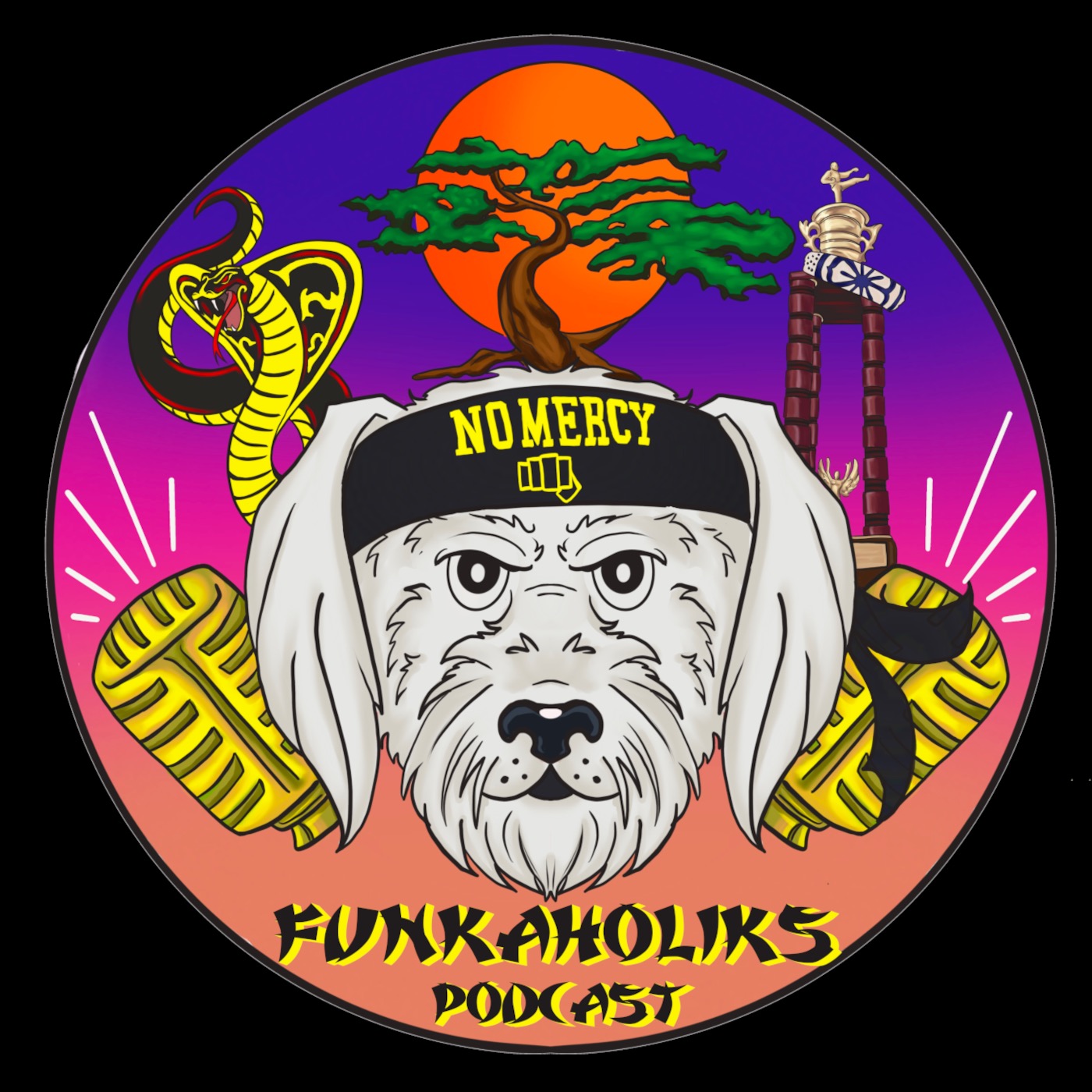 The Funkaholiks Podcast
