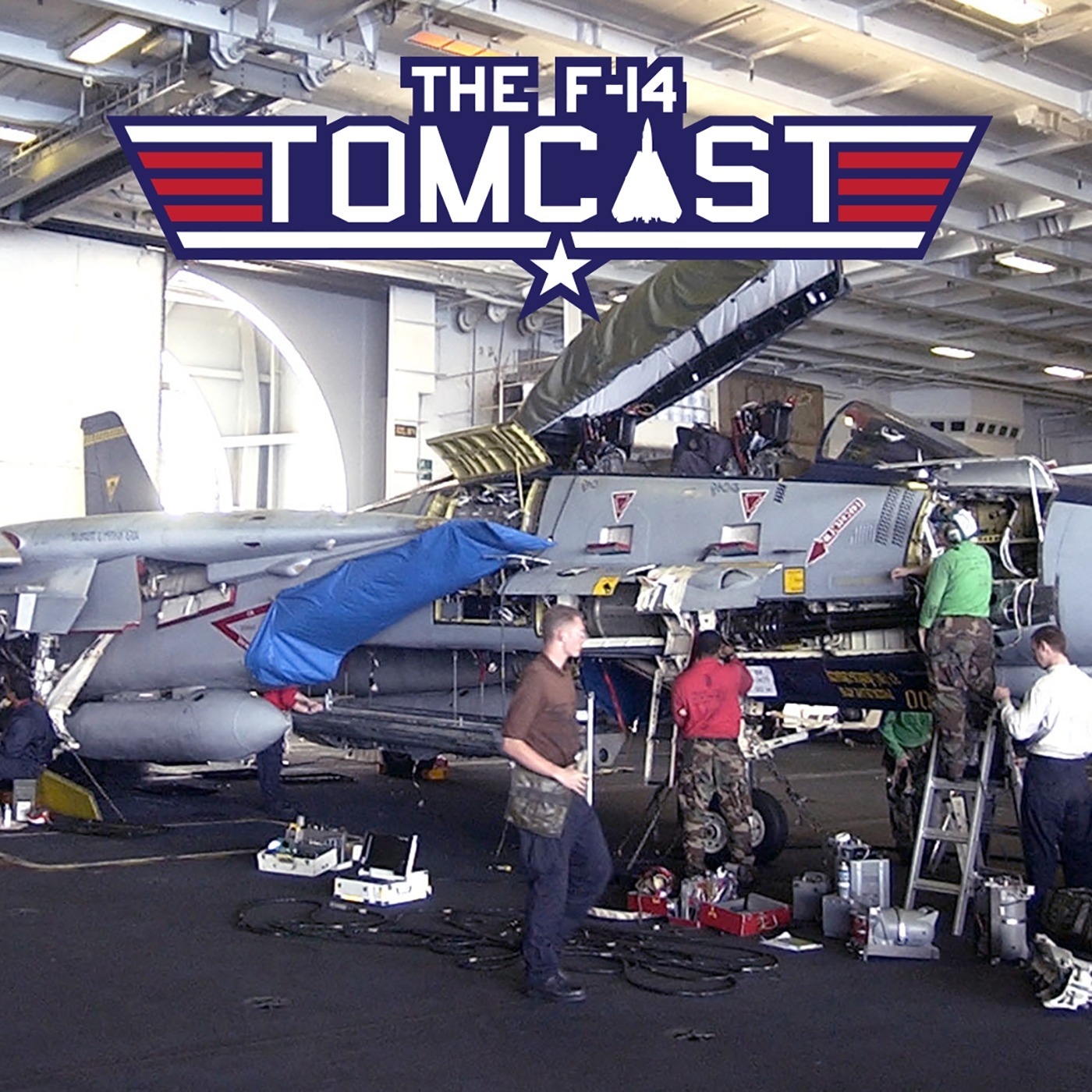 F-14 Tomcast
