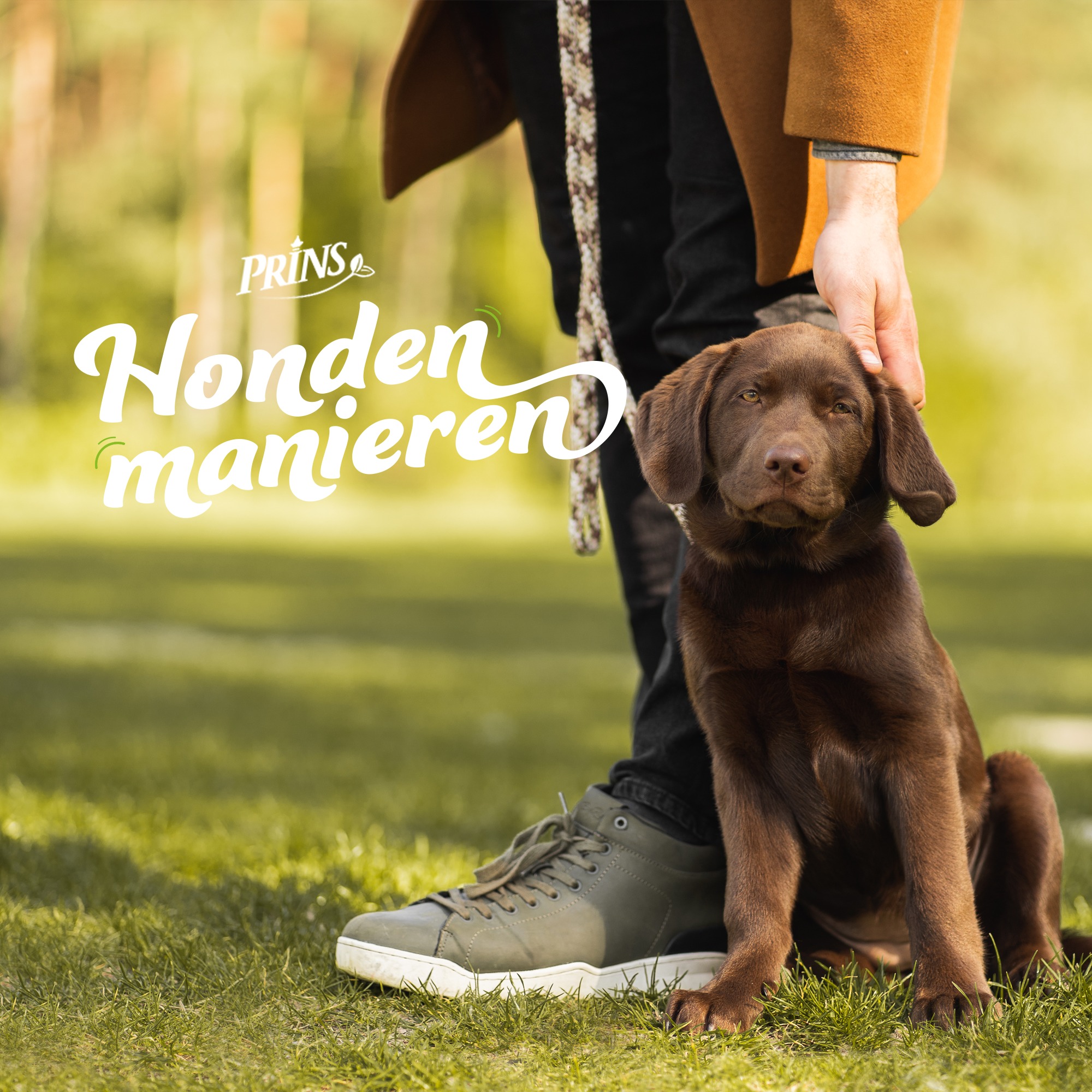 Afl. 10: Kan ik zomaar een hondje op Marktplaats kopen? (met Hondenbescherming NL) episode artwork