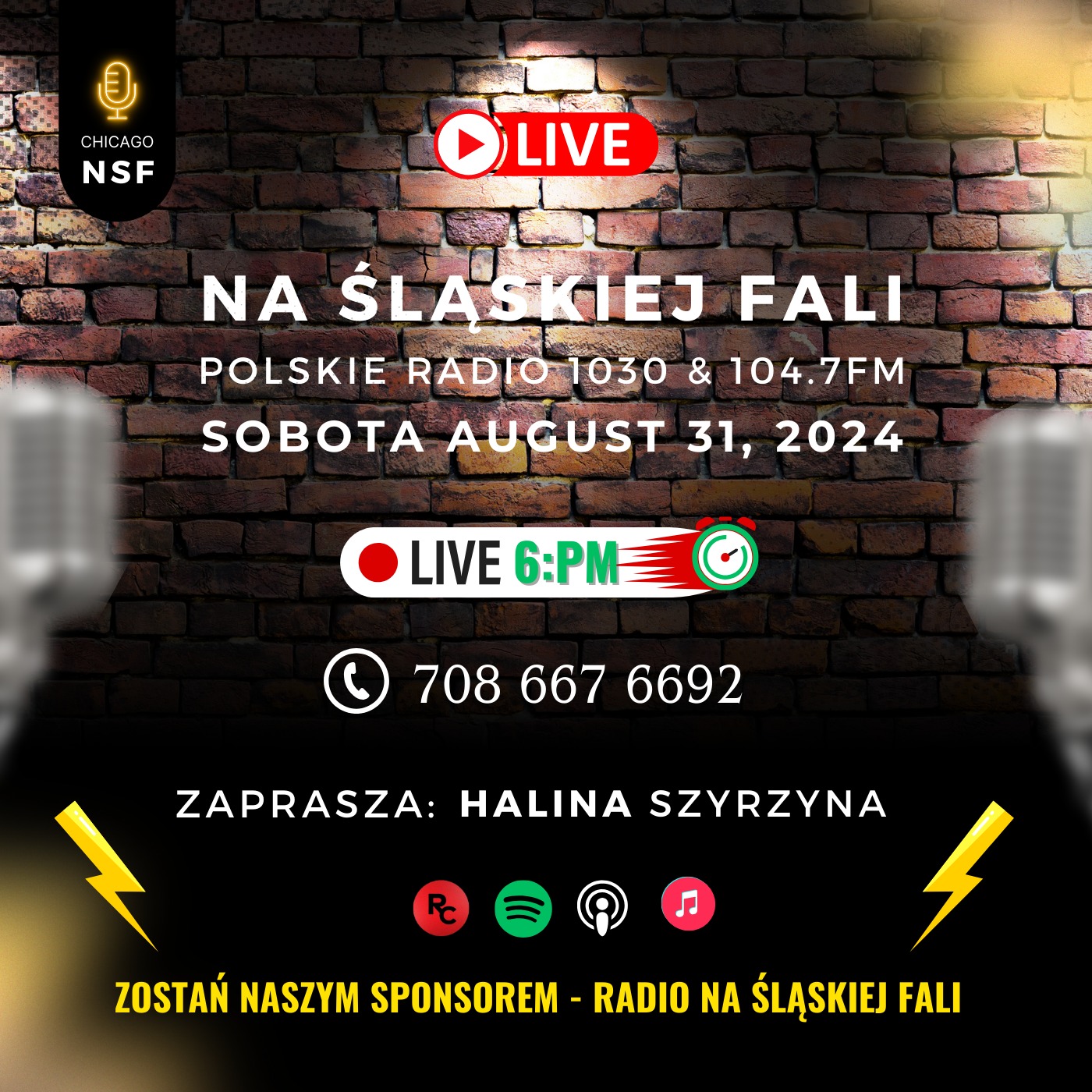 Radio Na Śląskiej Fali Chicago