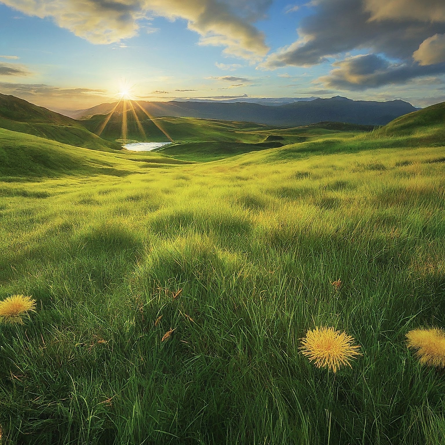 Prioritizing My Well-Being | Weekly Affirmations Blog episode artwork