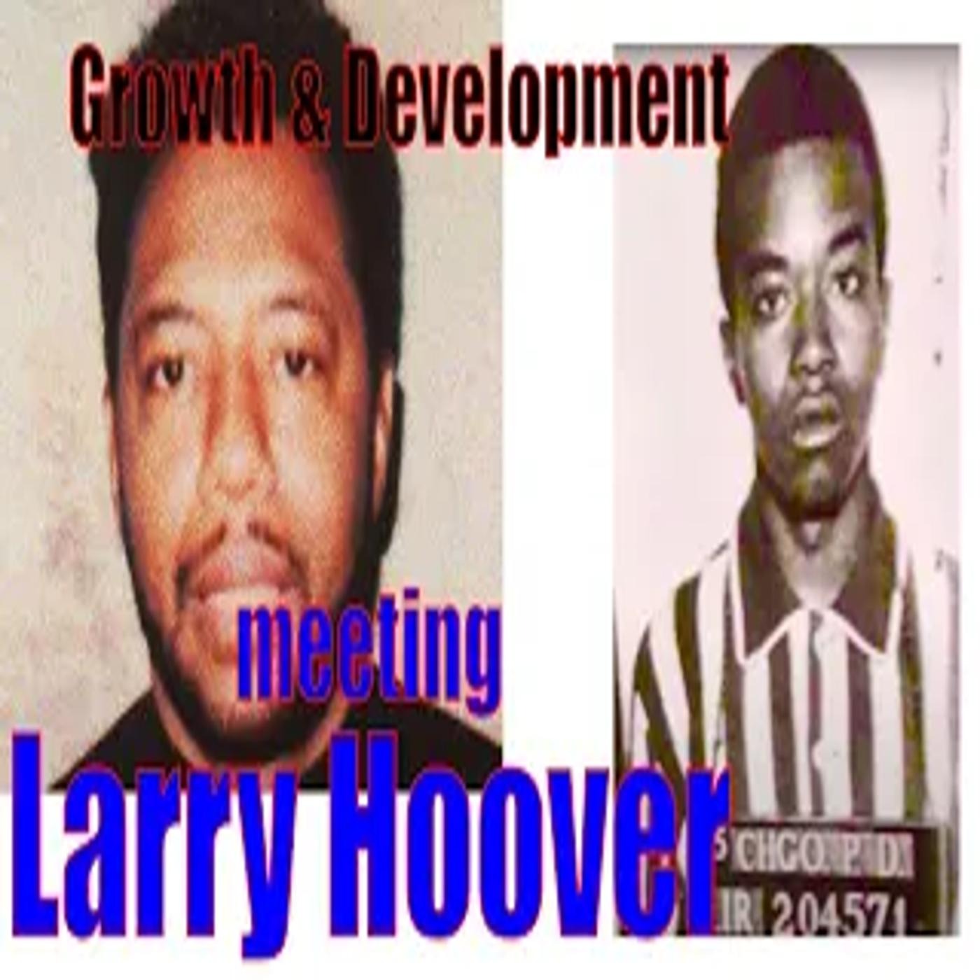 Meeting LARRY HOOVER: U.S. Floyd part 2 al profit episode artwork
