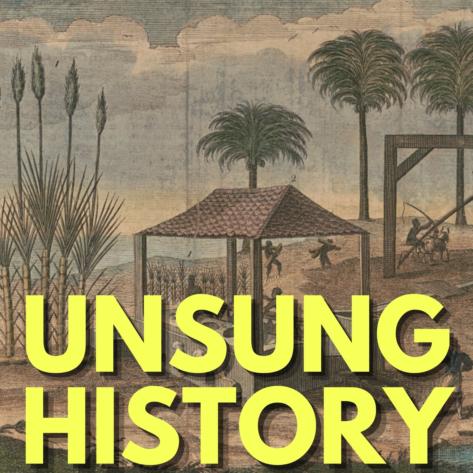 Unsung History