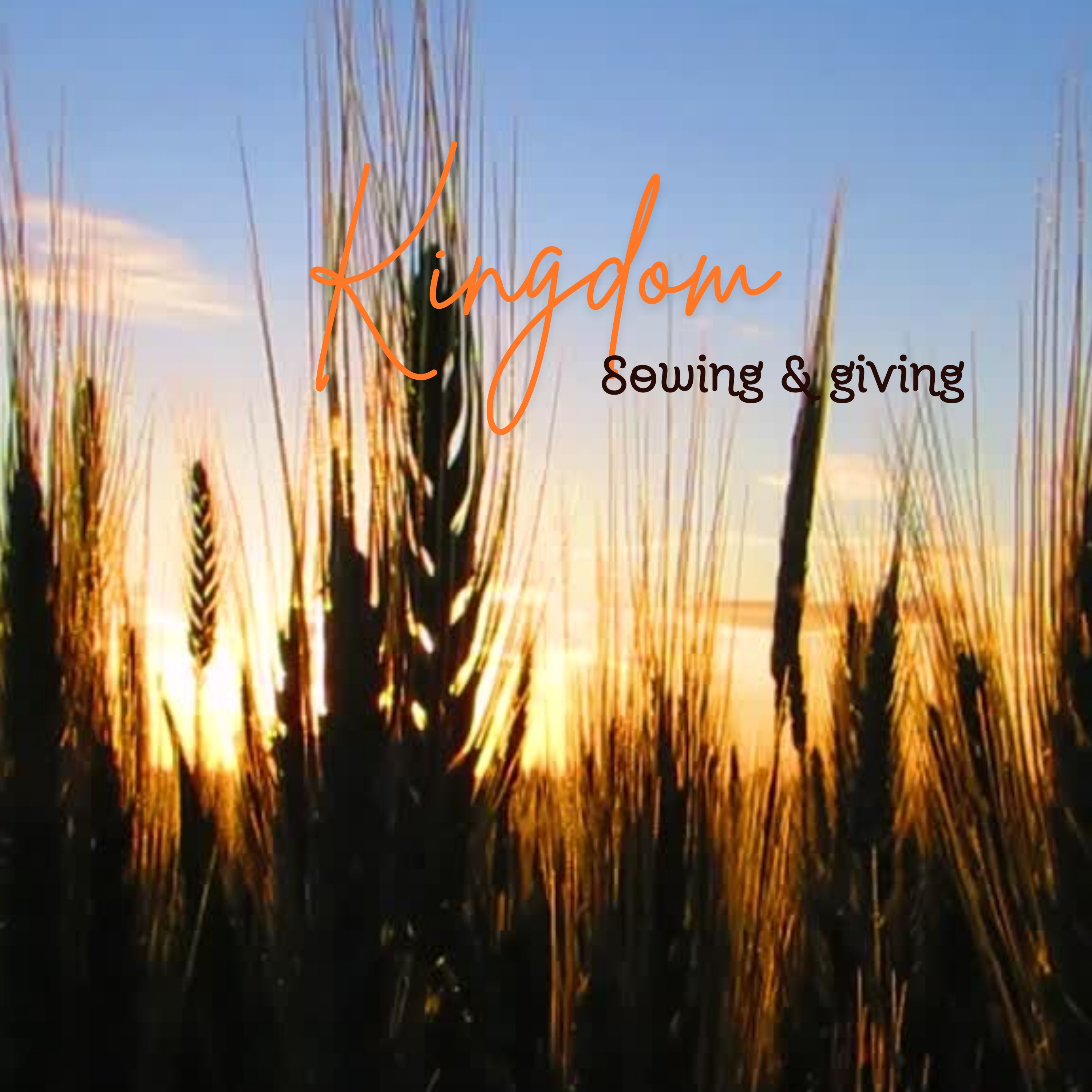 Kingdom Sowing & Giving