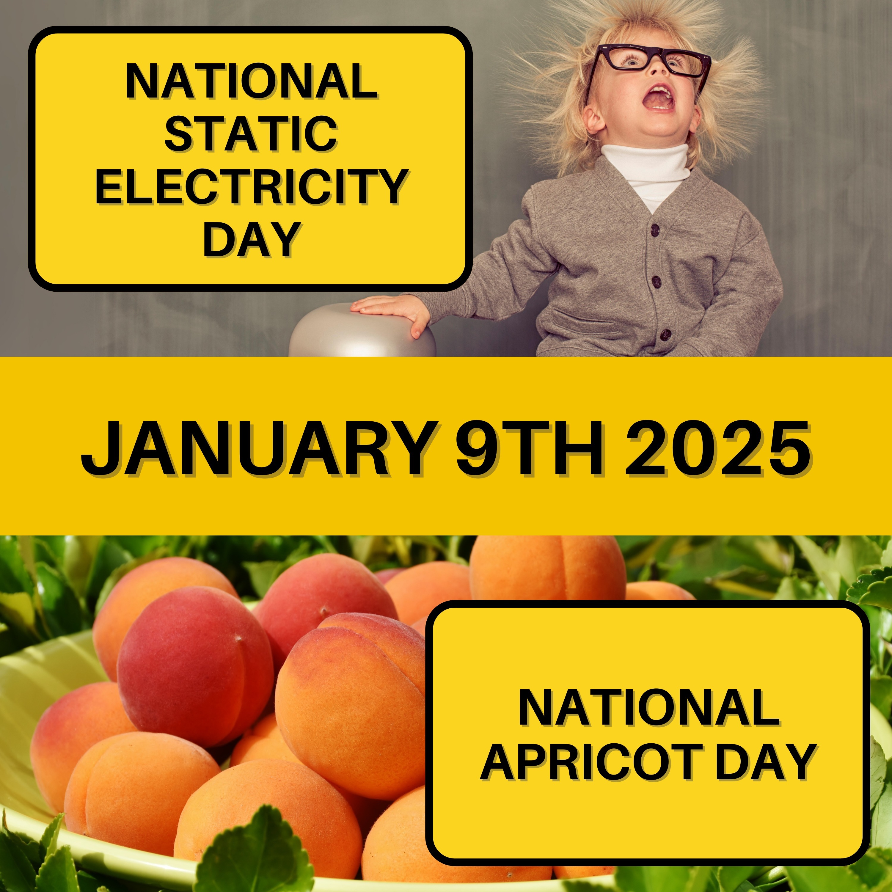 National Static Electricity Day & National Apricot Day