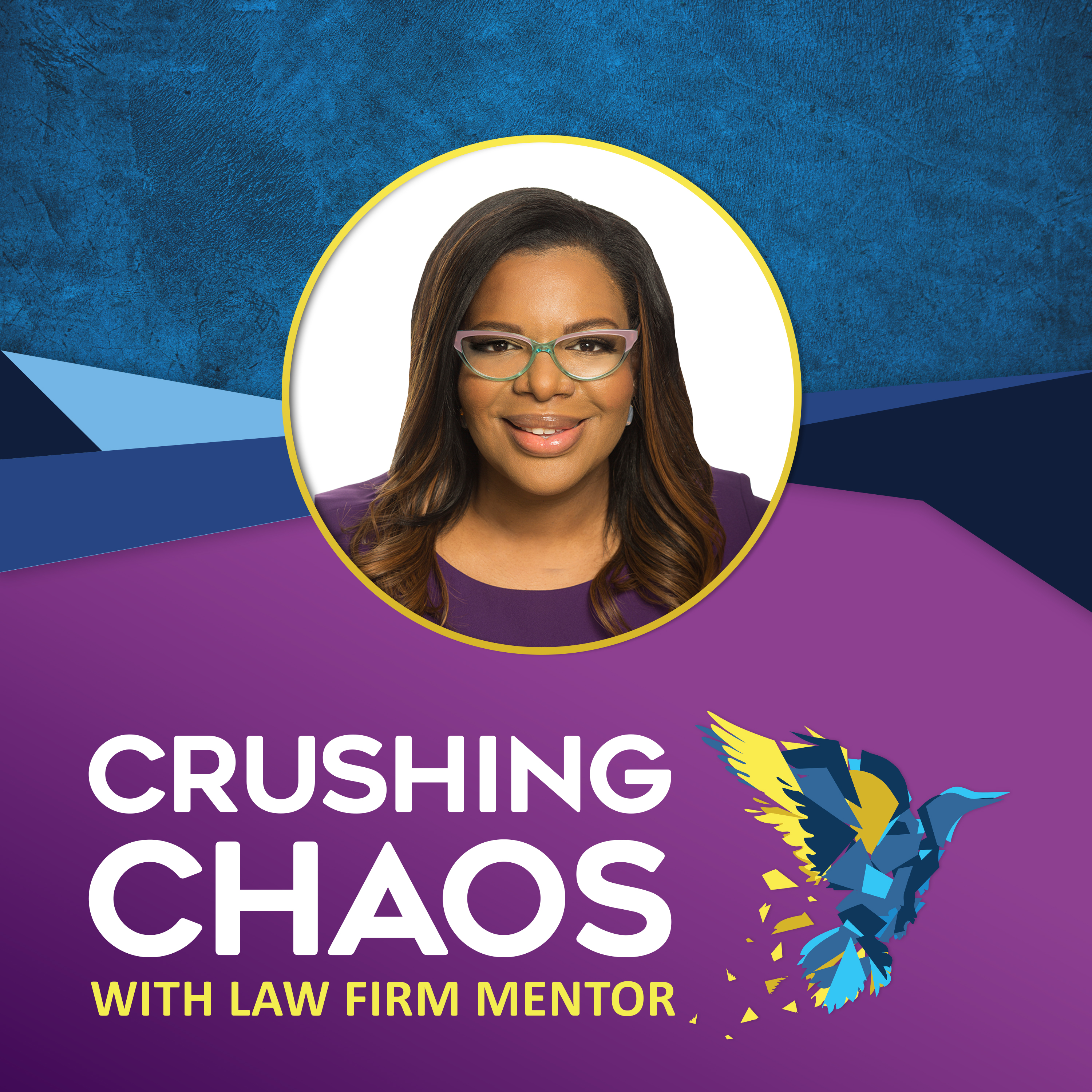 Part 2: Business as UN-usual? Law Business in the Face of the Corona Virus. episode artwork