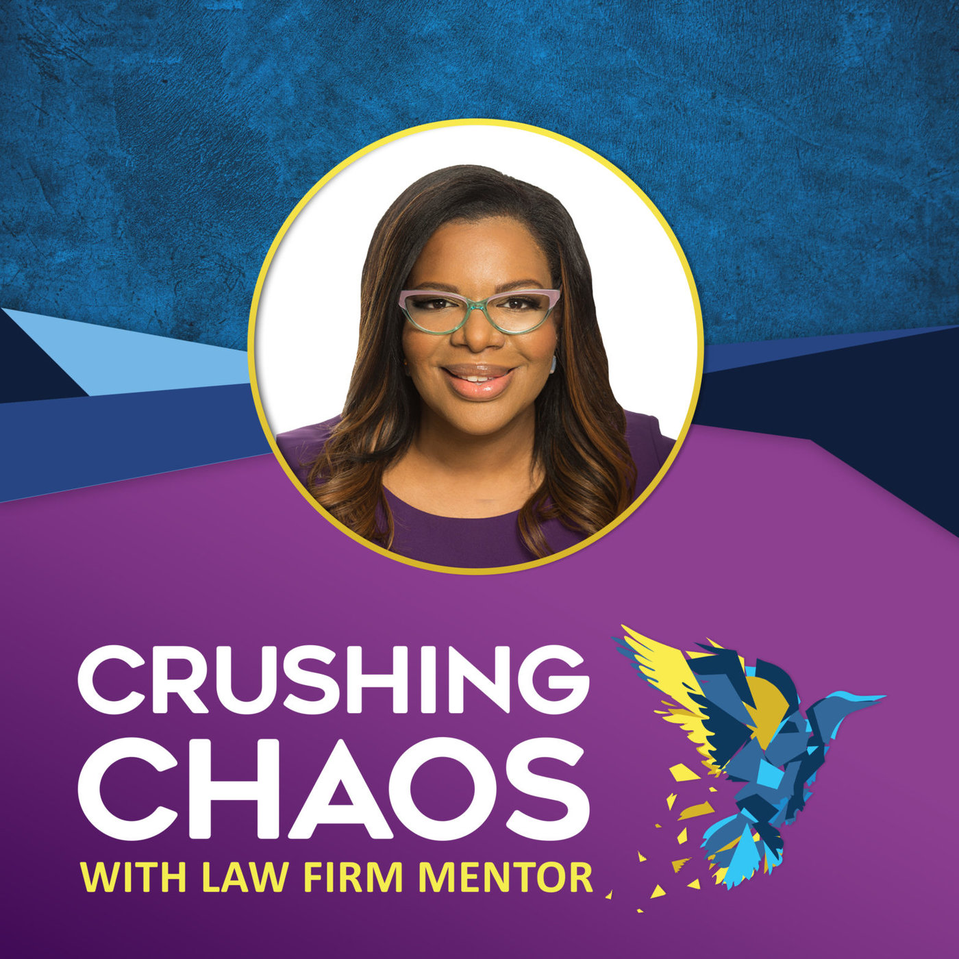 Mom, Lawyer, Entrepreneur - The Trifecta of Law Firm Triumph episode artwork