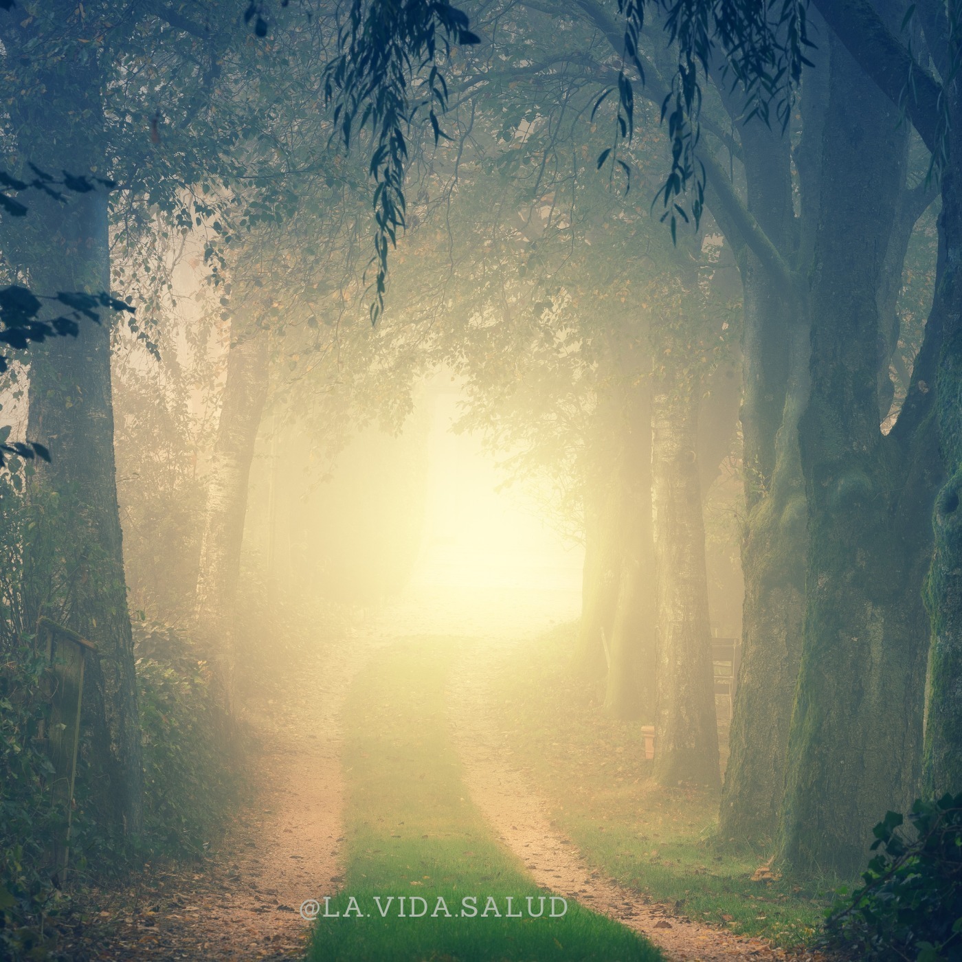 The Radical Healing Podcast with Jessica Betancourt