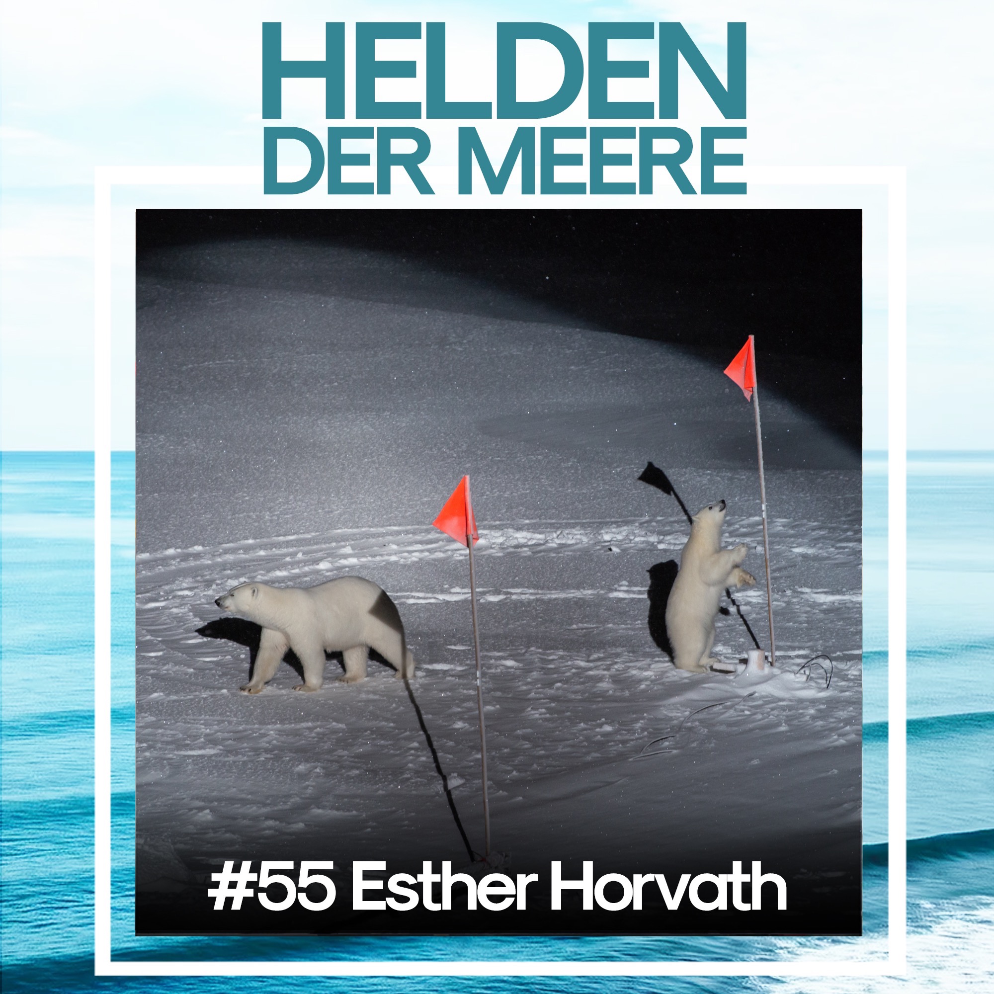 Helden der Meere