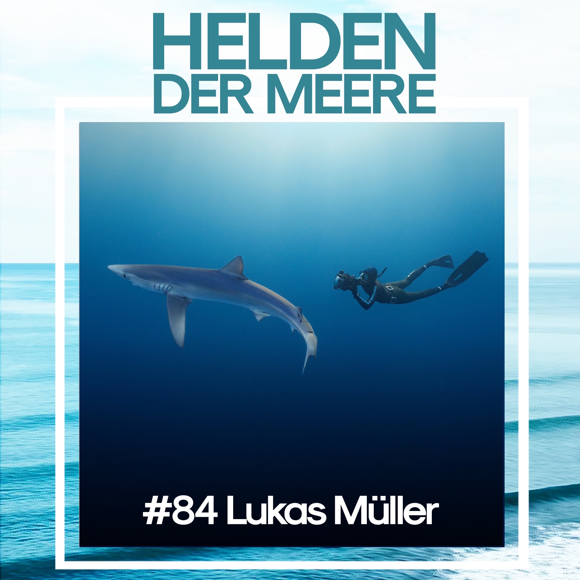 Die Haie Europas – mit Haiforscher Lukas Müller