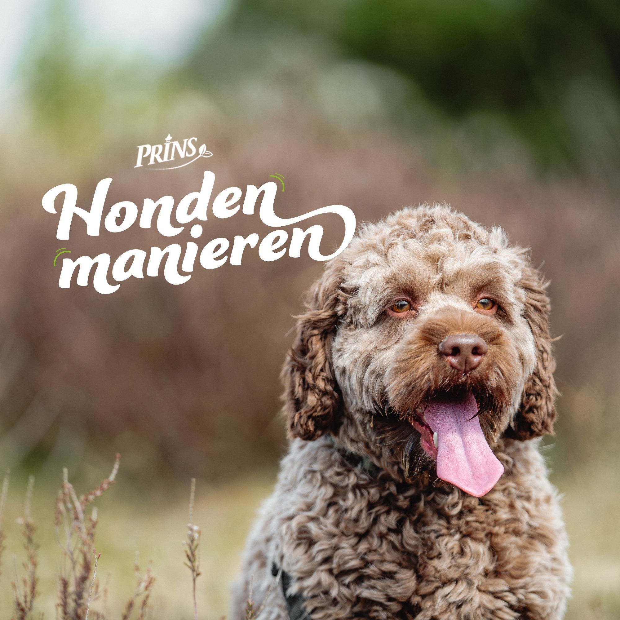 Afl. 1: Ervaart jouw hond stress? episode artwork