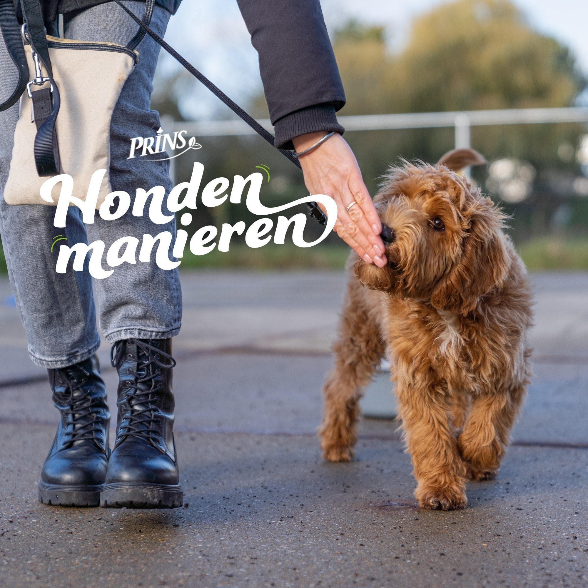 Afl. 8: Hoe kies je de juiste hondenschool? episode artwork