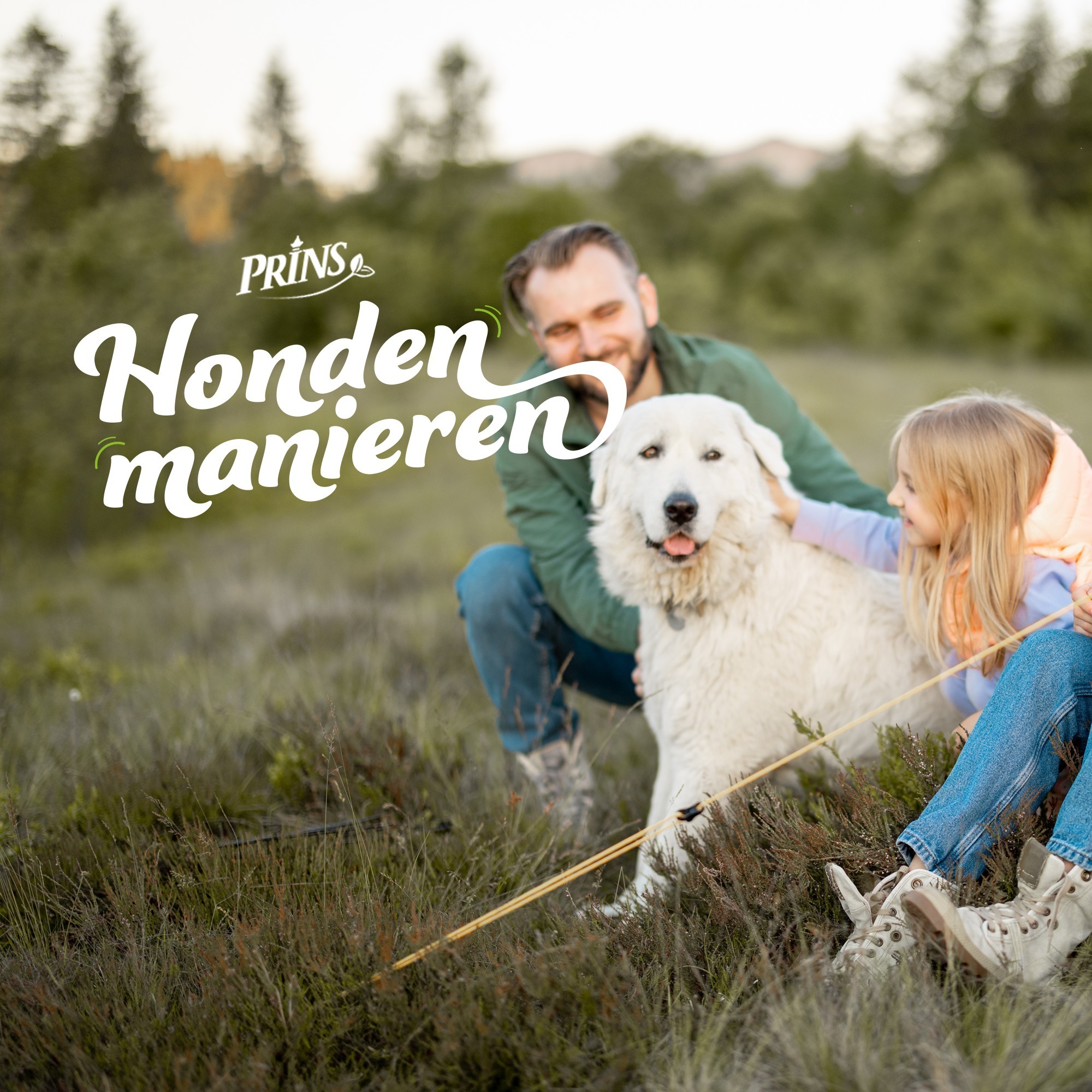 Afl. 12: Wat als je hond niet meer bij je past? episode artwork