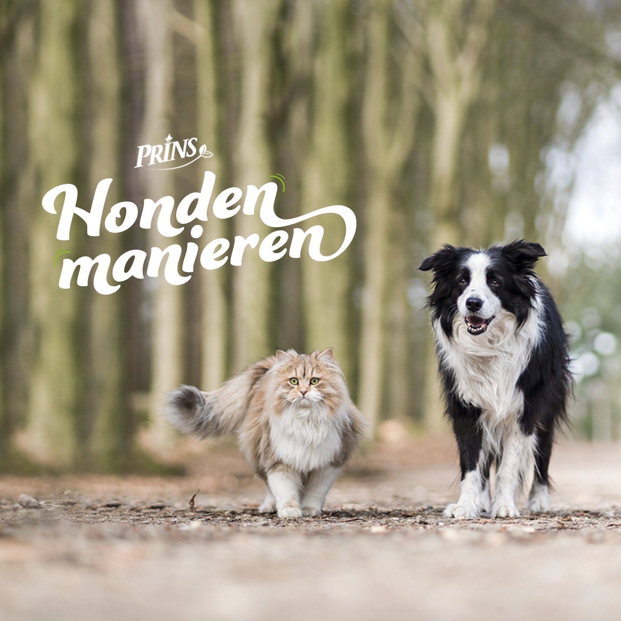 Afl. 7: Zo kunnen hond en kat toch samen episode artwork
