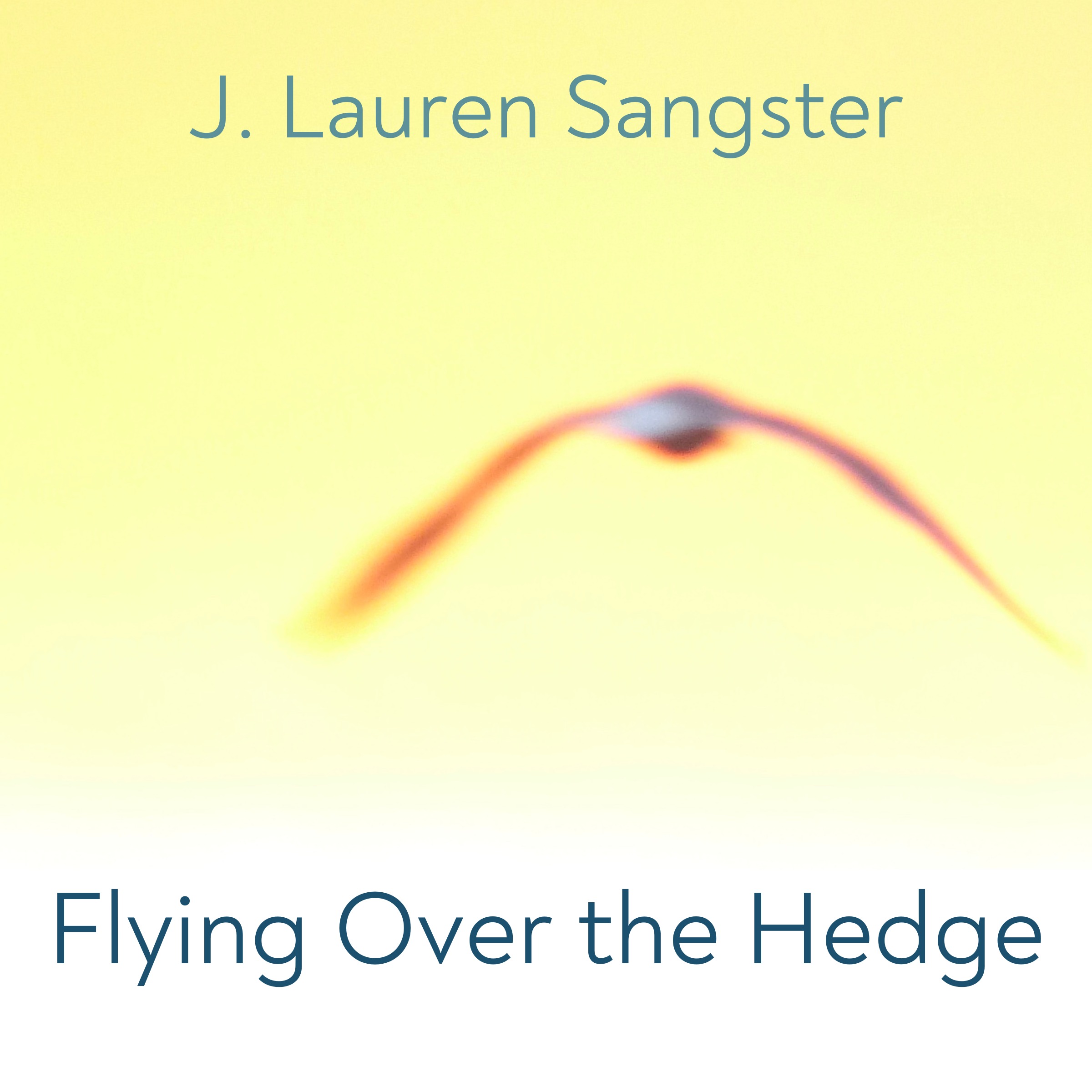 Flying Over the Hedge