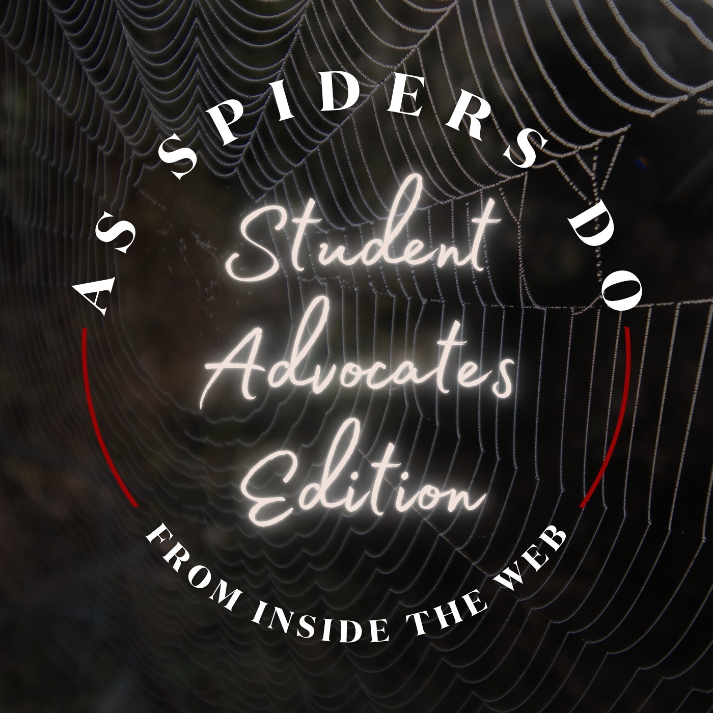 As Spiders Do