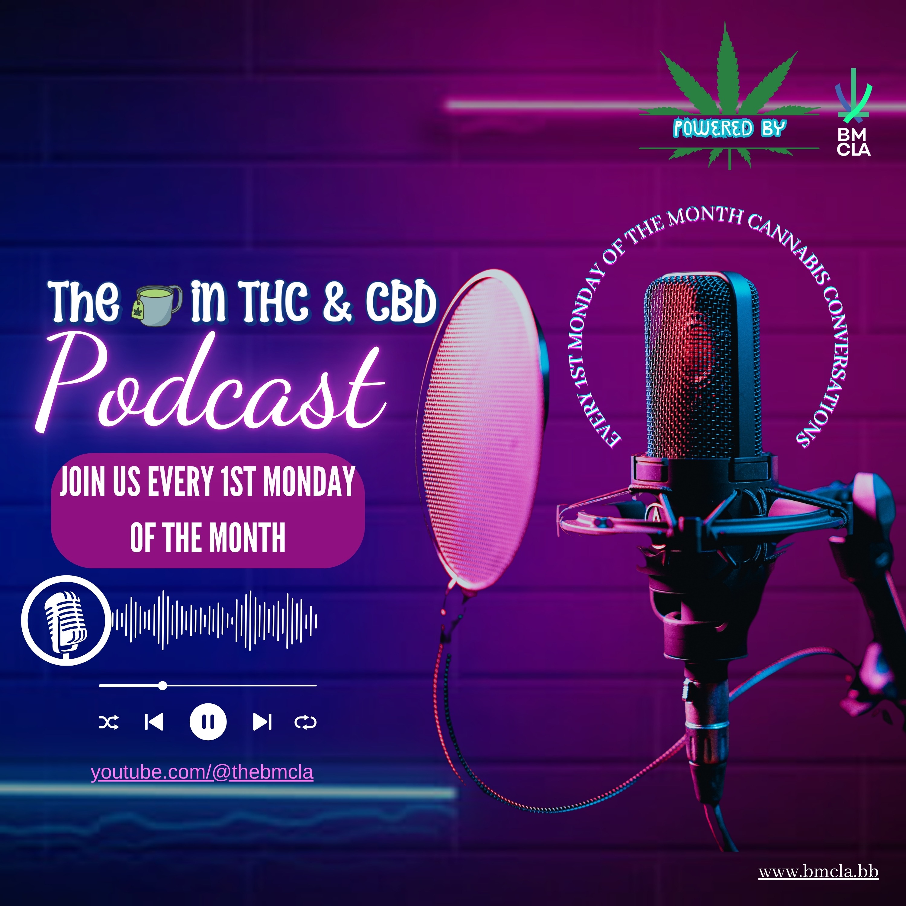 Audio Player Image