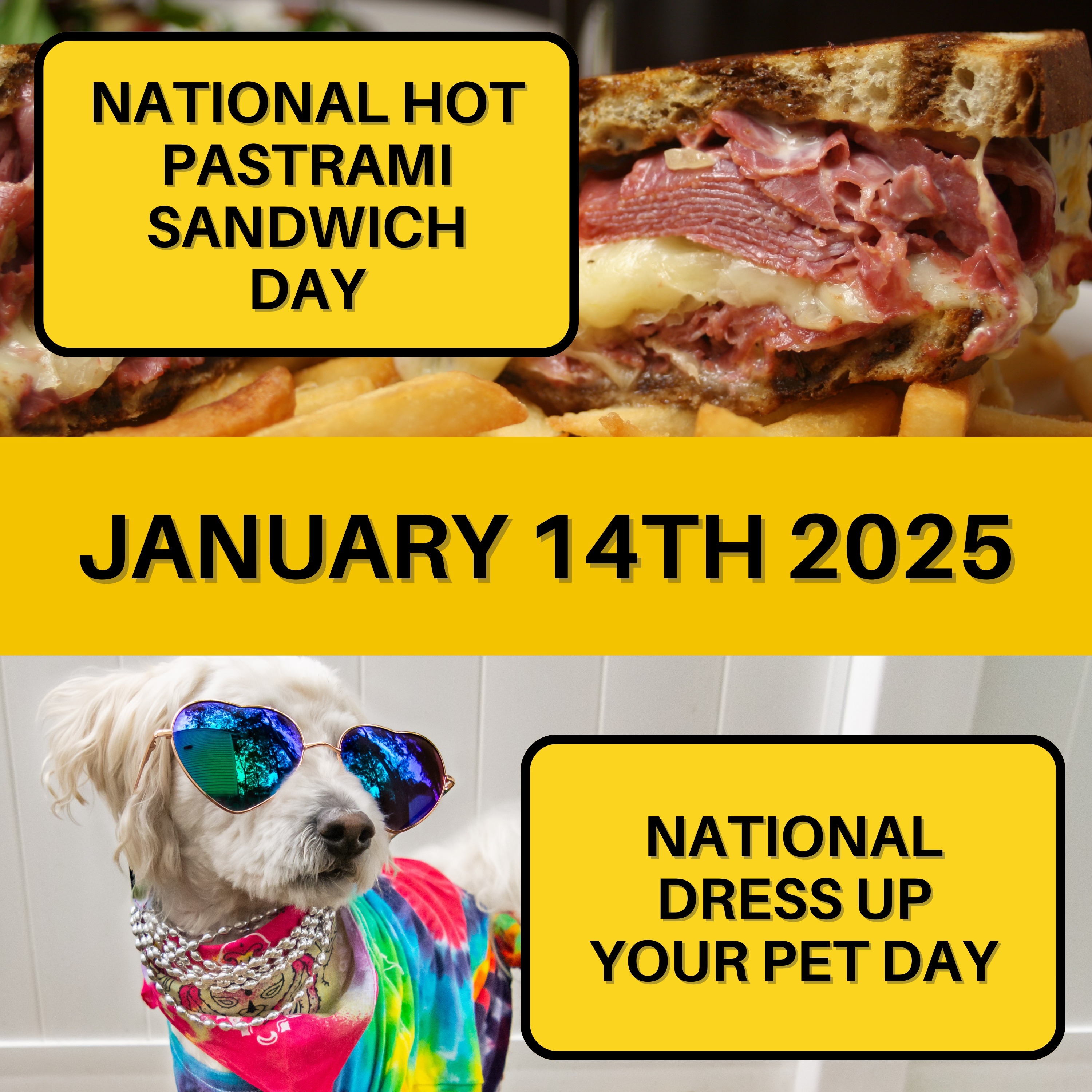 National Hot Pastrami Sandwich Day & National Dress Up Your Pet Day