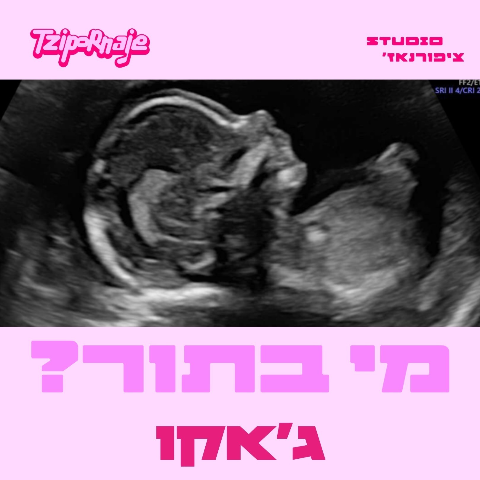 פרק 8 אחרון לעונה - ג'אקו