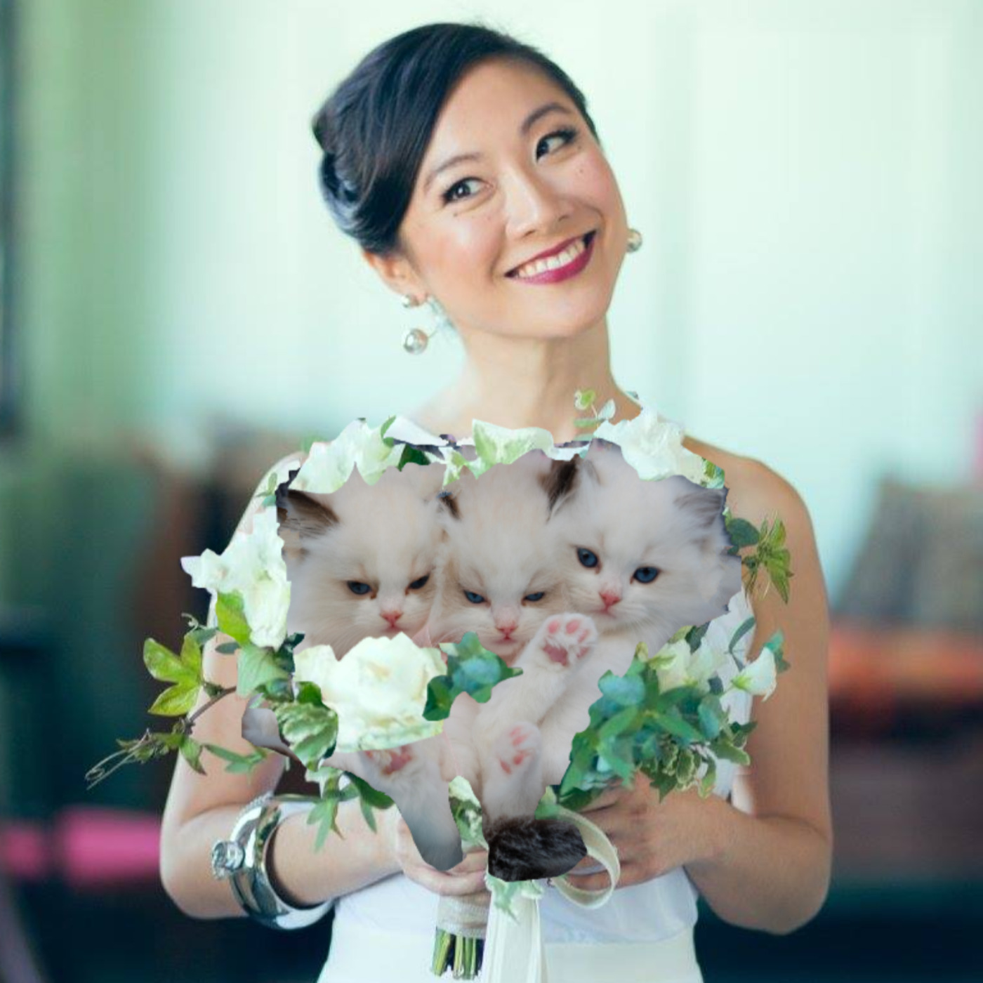 Six Degrees of Cats, Finding Community, and Following Your Curiosity (w/ Amanda B.)