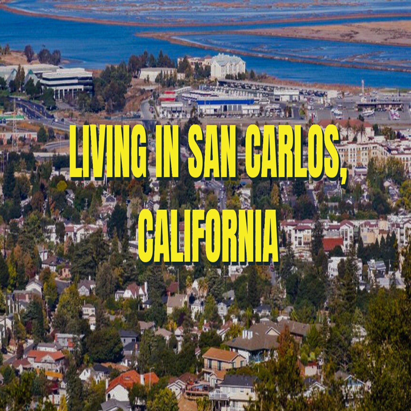 Bay Area Real Estate News, Insights, Market Data, and Strategies | Spencer Hsu Real Estate