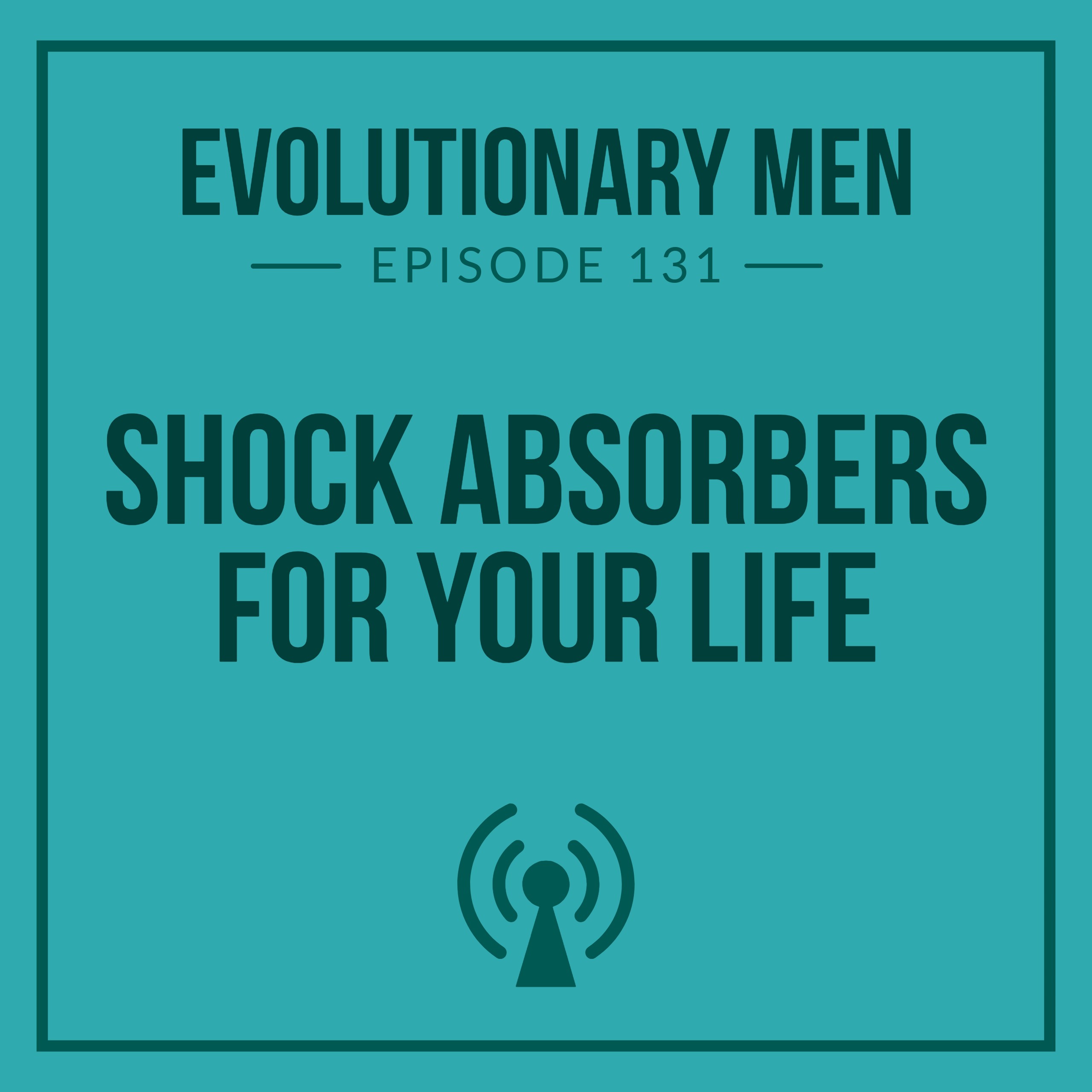 Shock Absorbers for Your Life