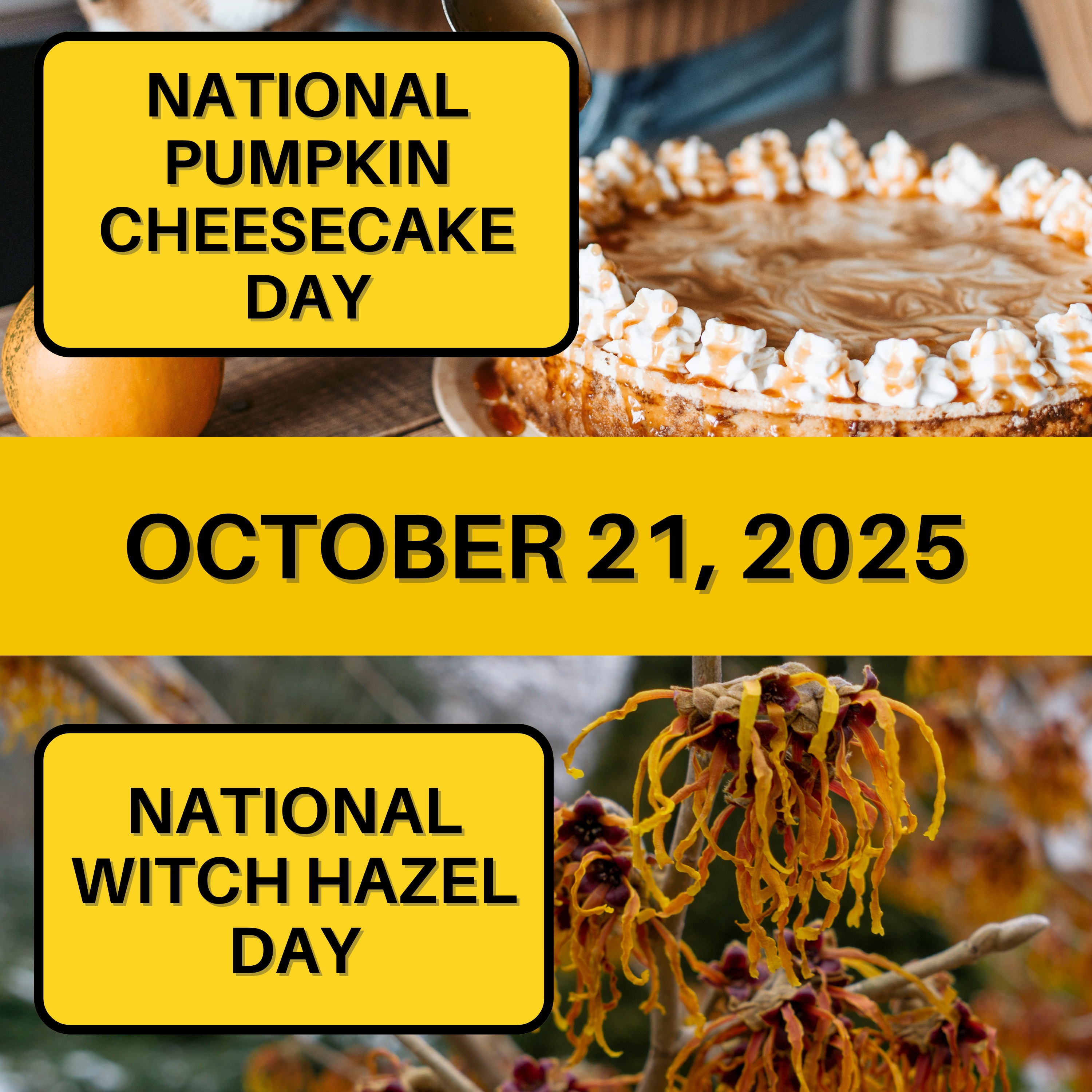 National Pumpkin Cheesecake Day & National Witch Hazel Day