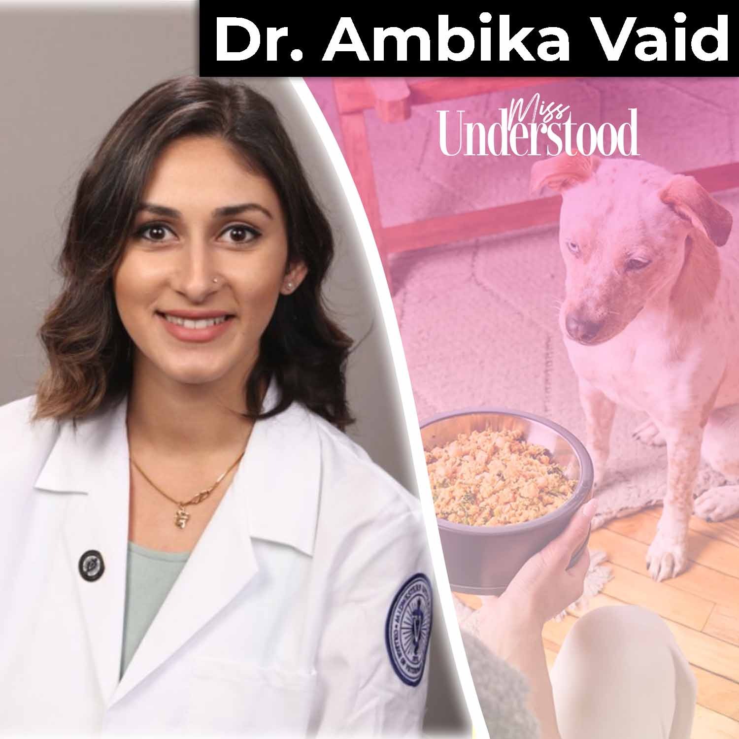 How to Help Your Pets Live Longer with Dr. Ambika Vaid-Sidhu