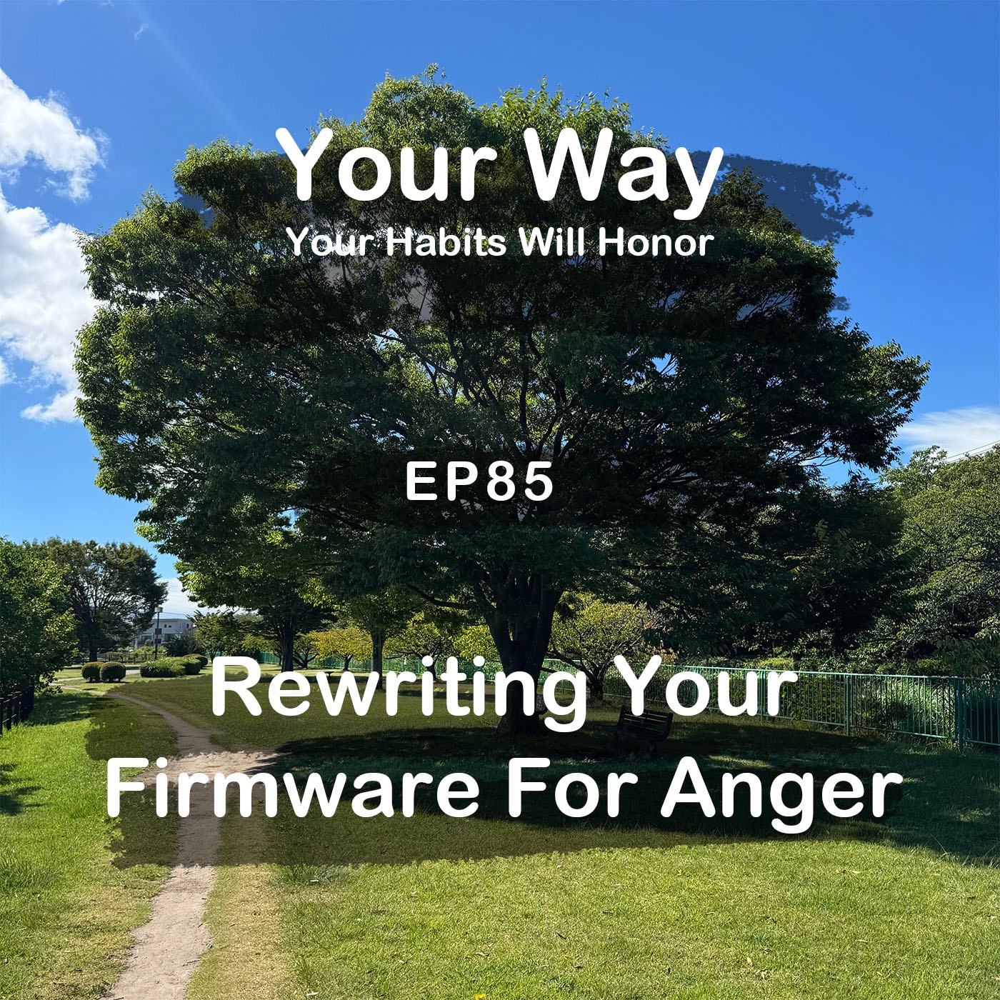 Rewriting Your Firmware of Anger | #85 Koji Ohata episode artwork