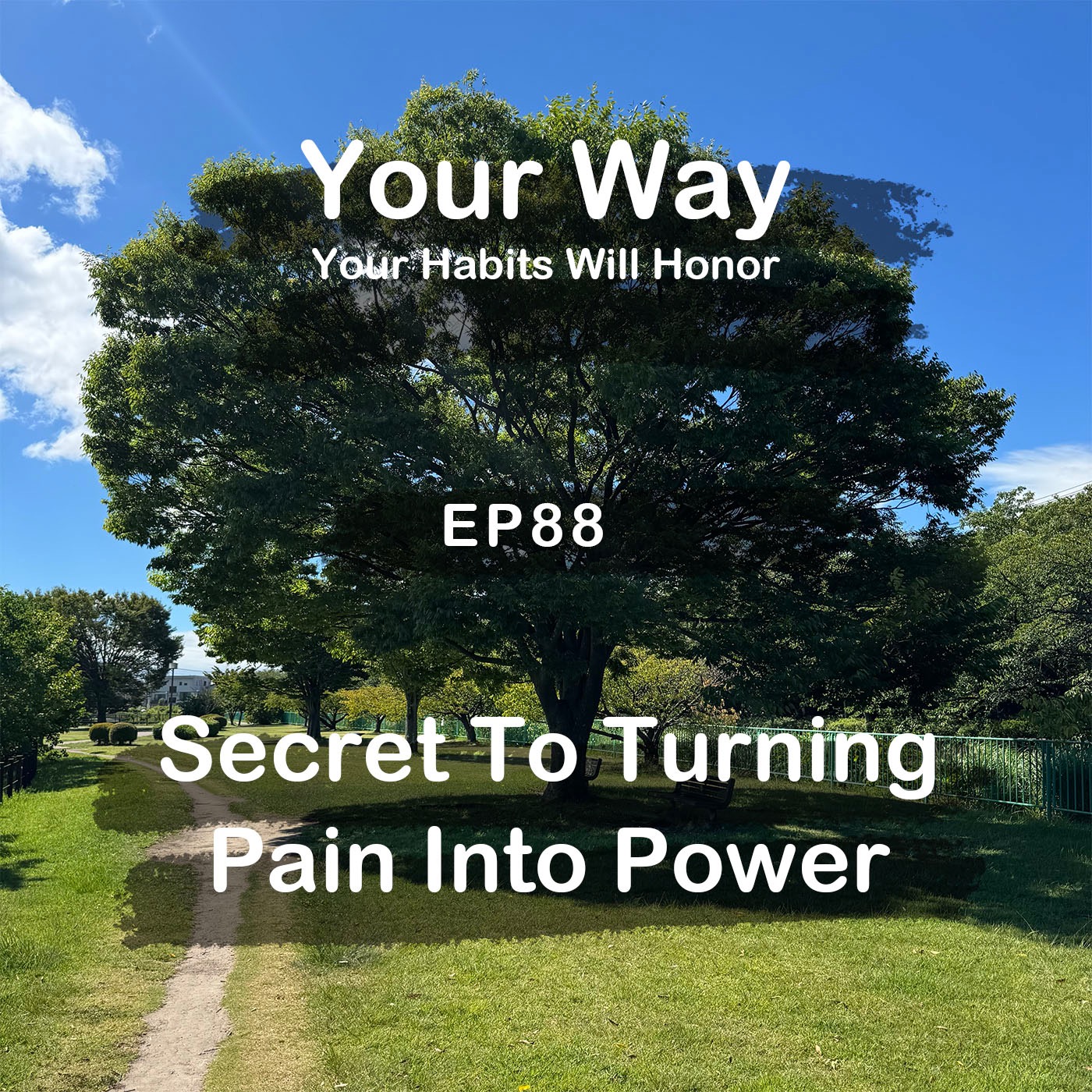 The Simple Secret to Turning Pain into Power | #88 Koji Ohata episode artwork
