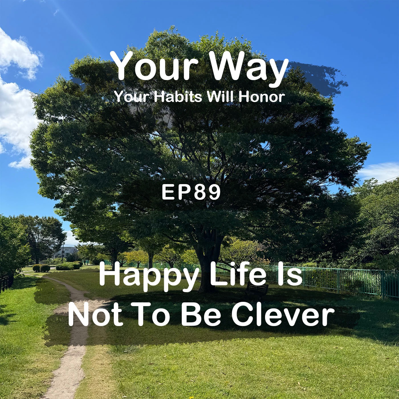 The Most Compelling Way to Live Is Not to Be Clever | #89 Koji Ohata episode artwork