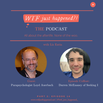 WTF Just Happened?!: All about the afterlife. No woo.