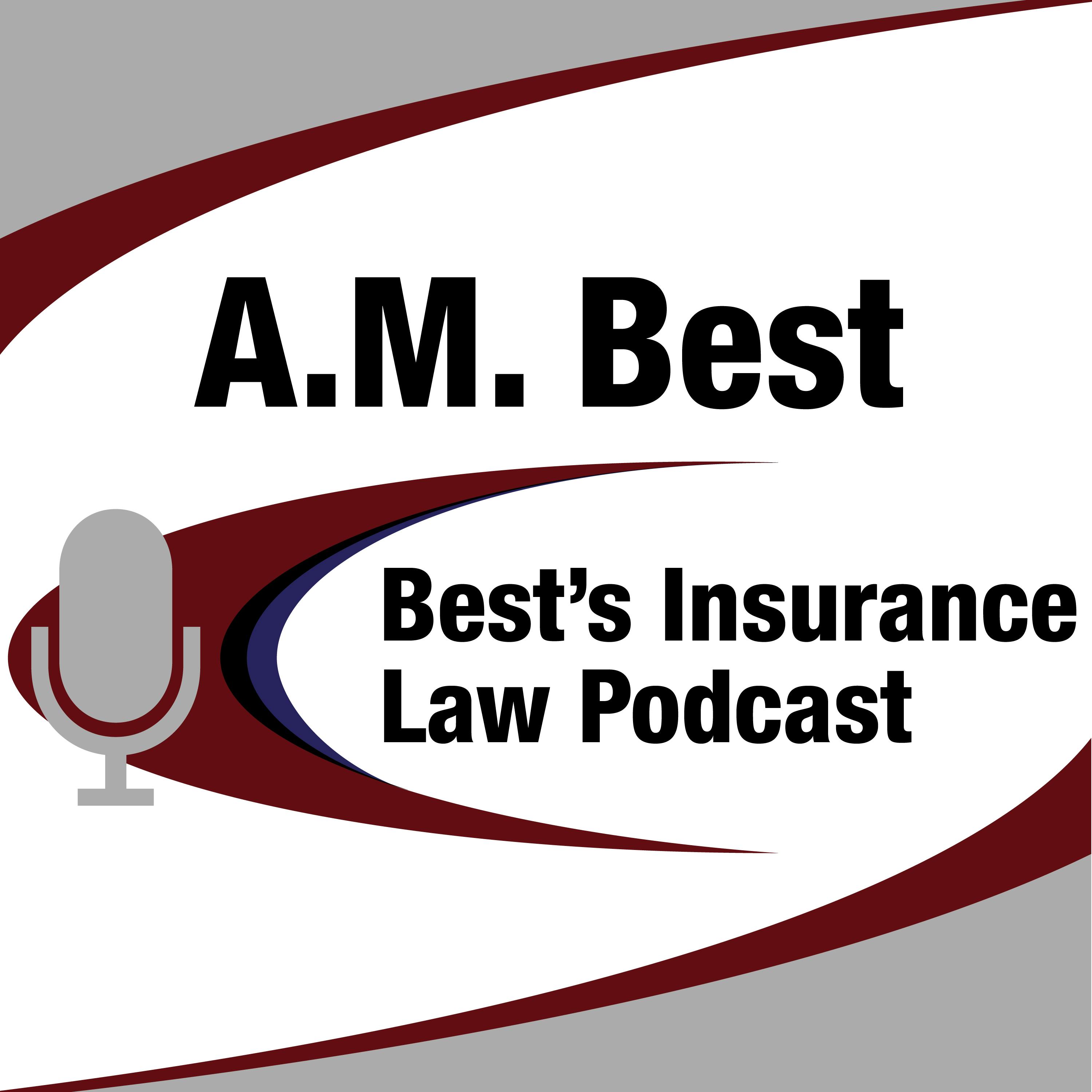 Defense Strategies Against Business Valuation Tactics episode artwork