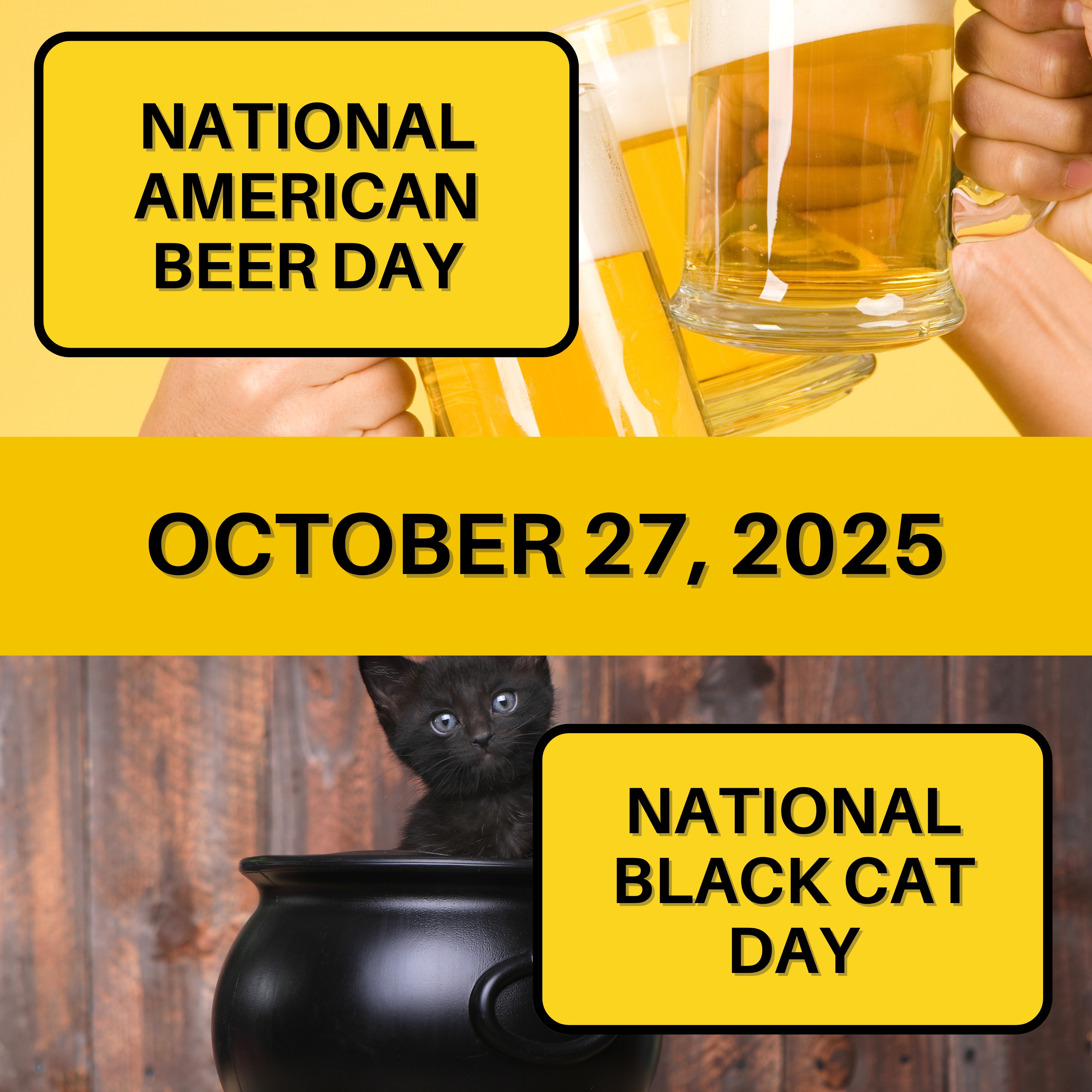 National American Beer Day & National Black Cat Day National American Beer Day & National Black Cat Day