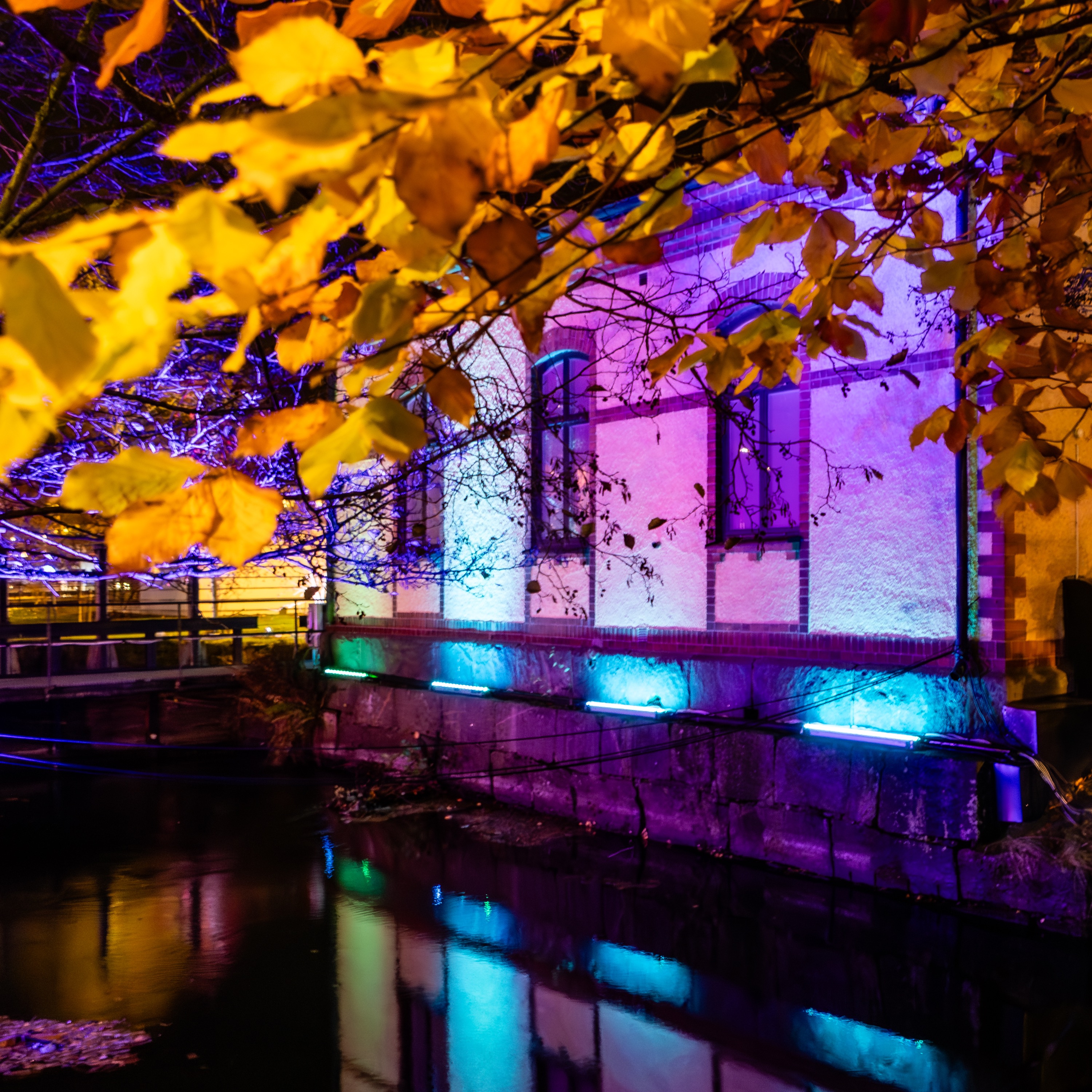 Guiden om årets upplaga av Lights in Alingsås episode artwork
