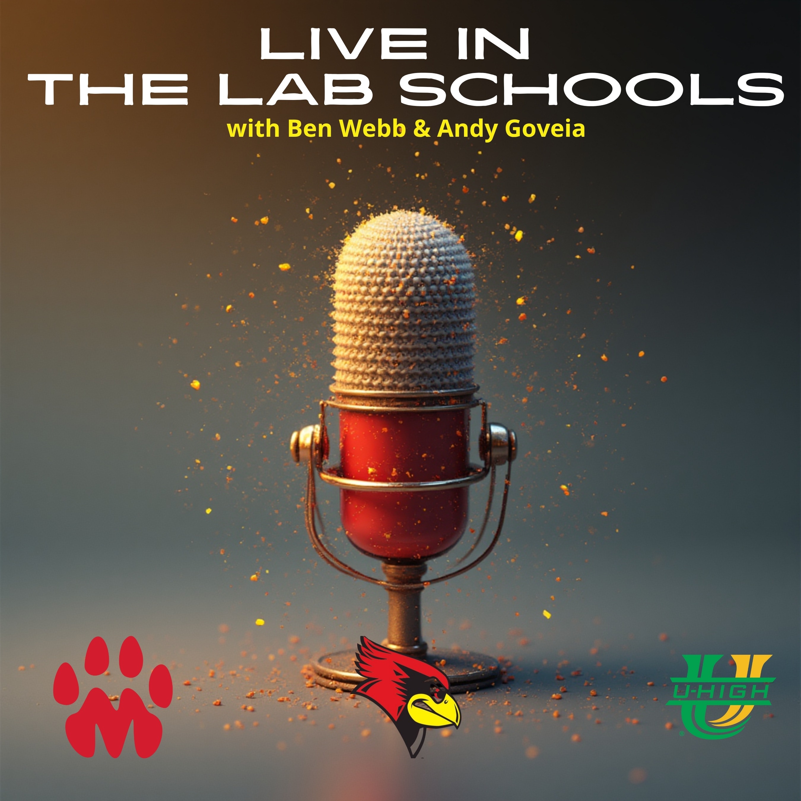 Audio Player Image