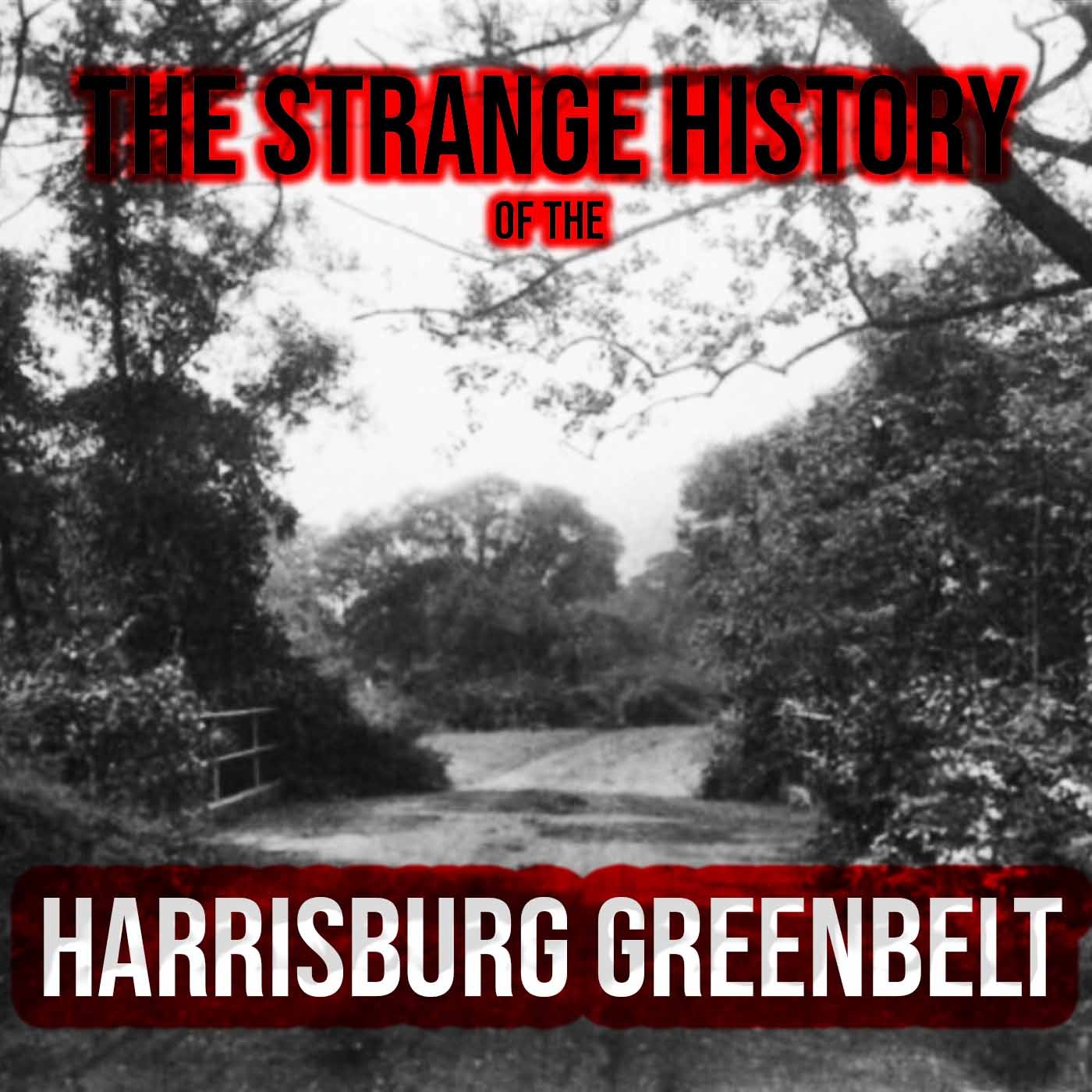 Running Into History