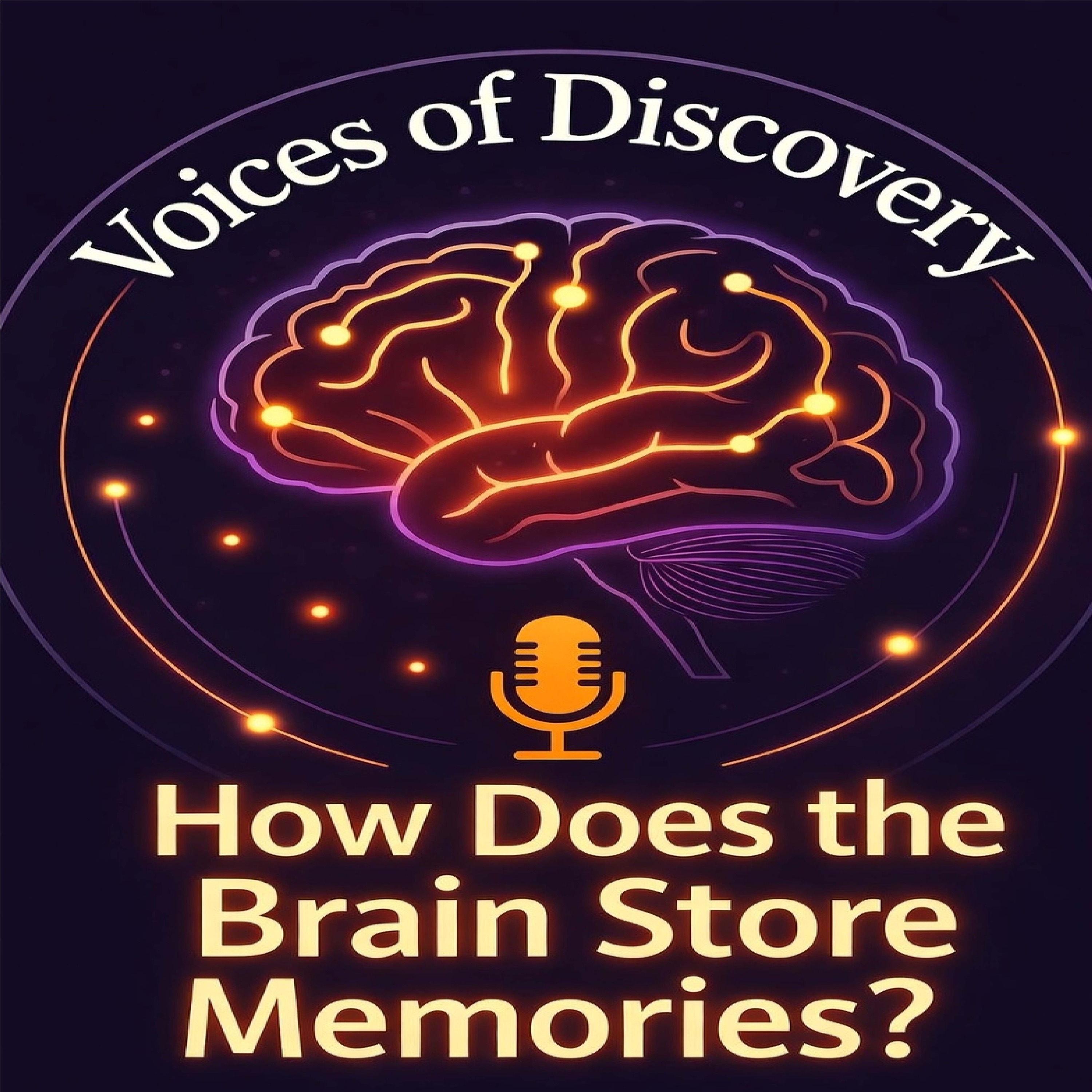 How Does the Brain Store Memories?