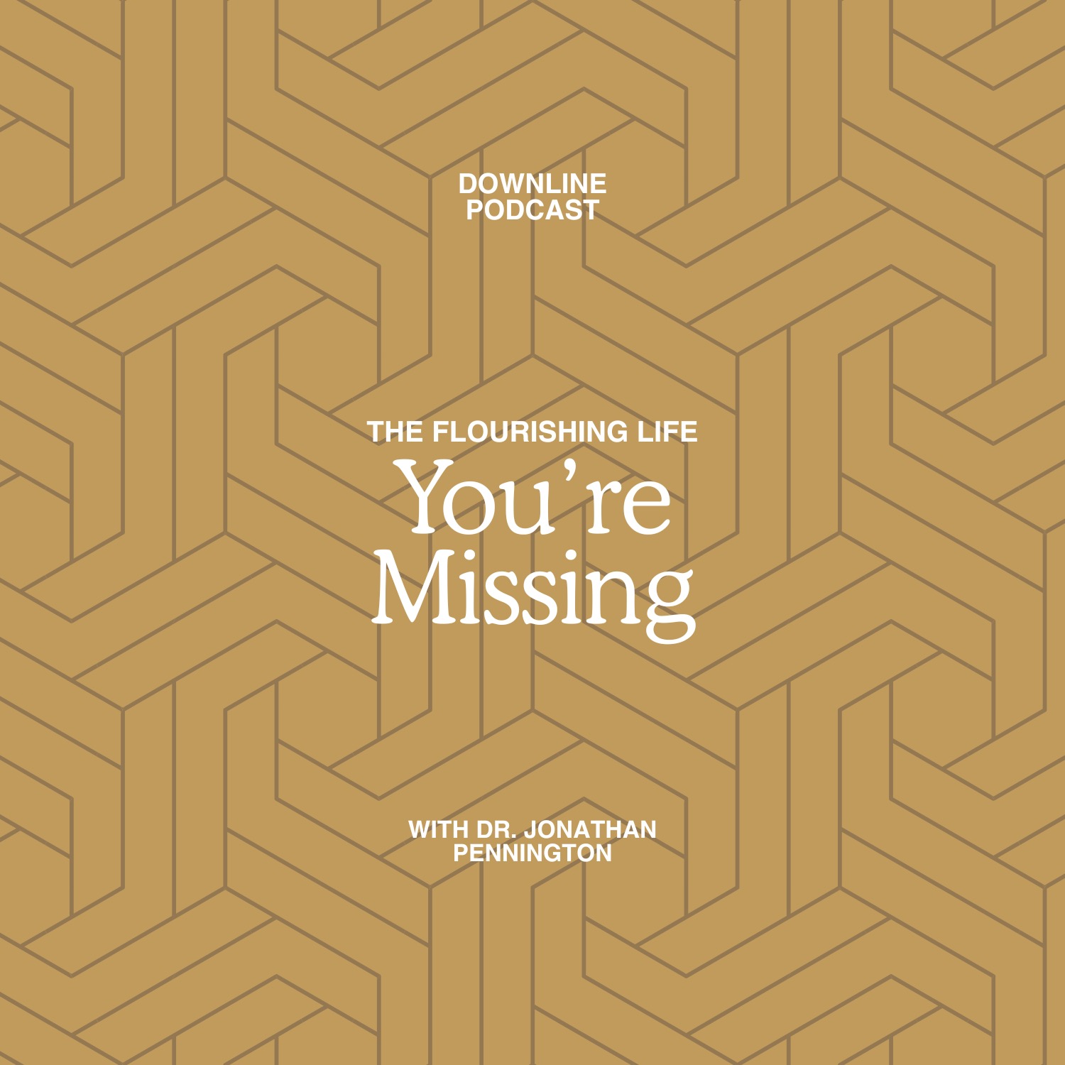 The Flourishing Life You're Missing with Dr. Jonathan Pennington
